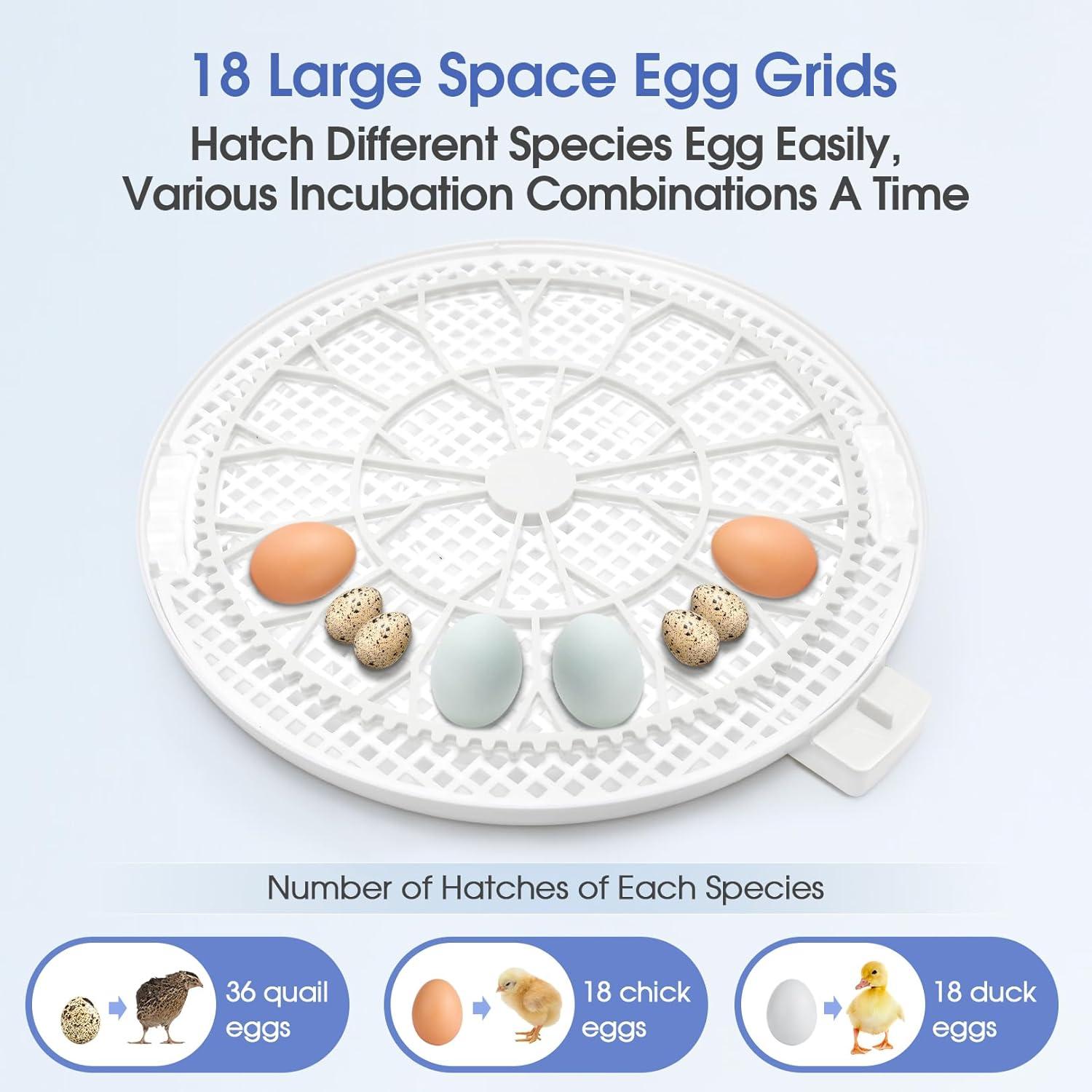 Adnoom 18 Egg Incubator for Chicken,Incubators for Hatching Eggs with Automatic Egg Turning and Humidity Control, Egg Candler, 360° View Window for Farm Hatching