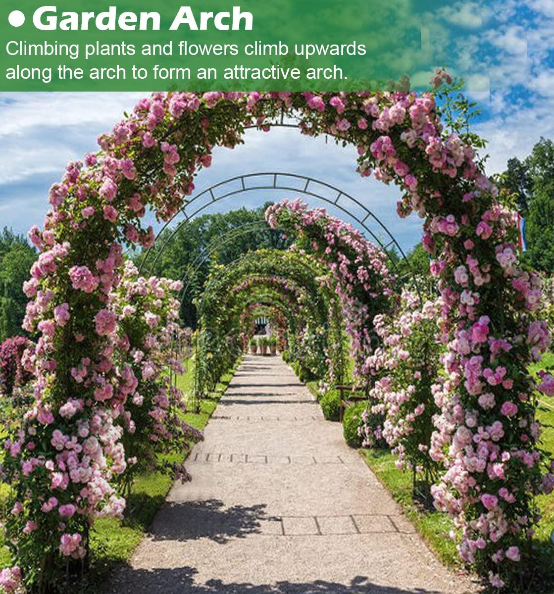 Garden Arch 7.2 Feet Wide By 9.2 Feet High