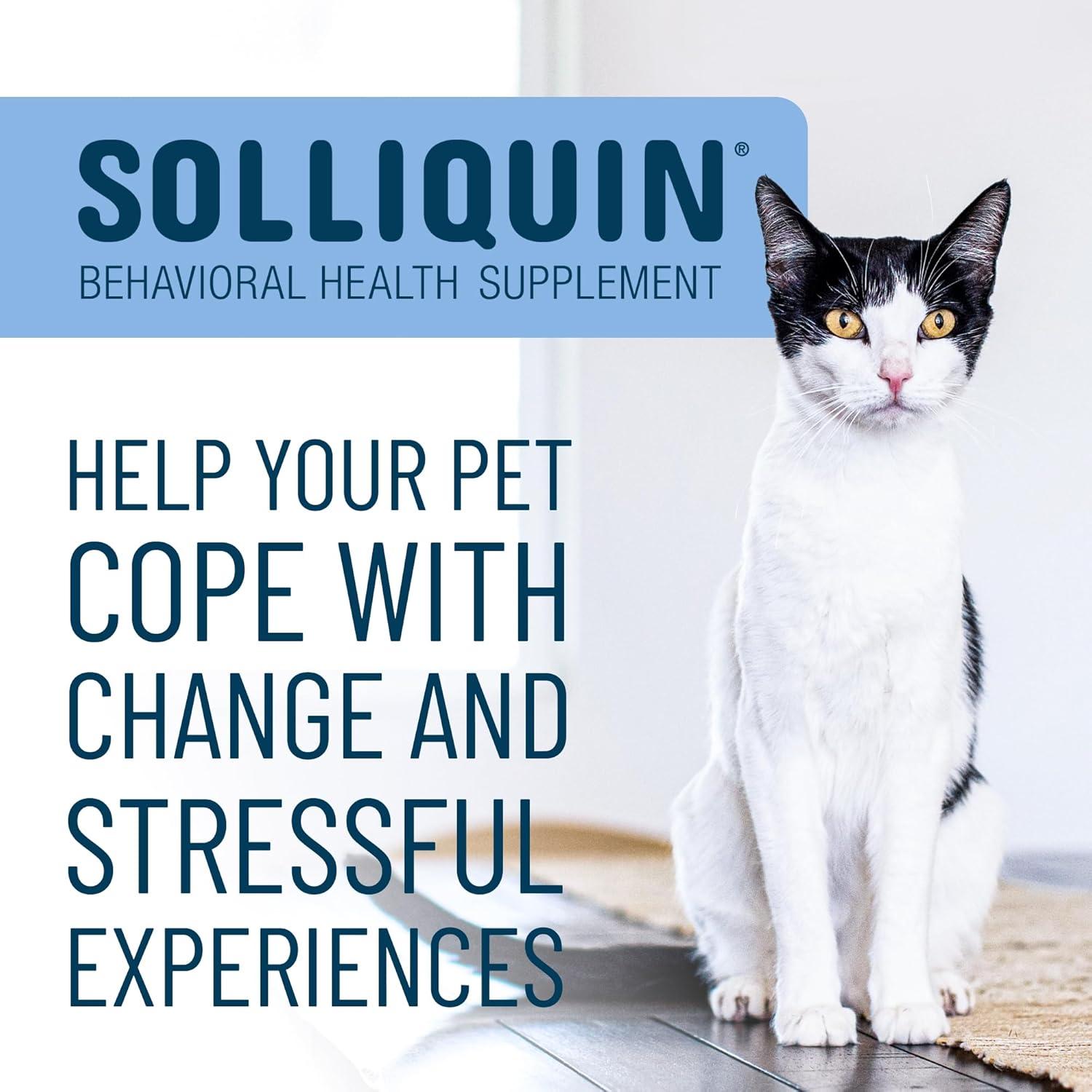 Solliquin Soft Chews Calming for Small & Medium Dogs & Cats 75ct