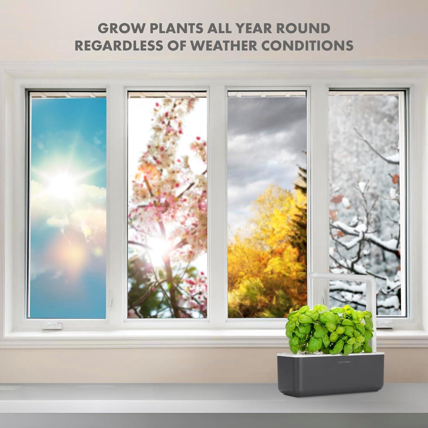 Grey Indoor Herb Garden Kit with LED Grow Light