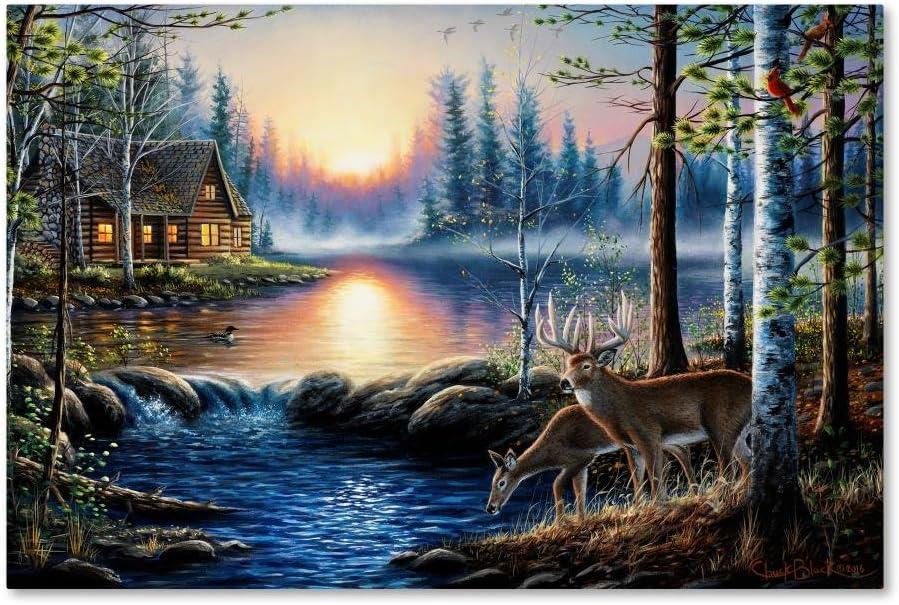 Trademark Fine Art -Chuck Black 'Total Bliss' Canvas Art - 22''x32''