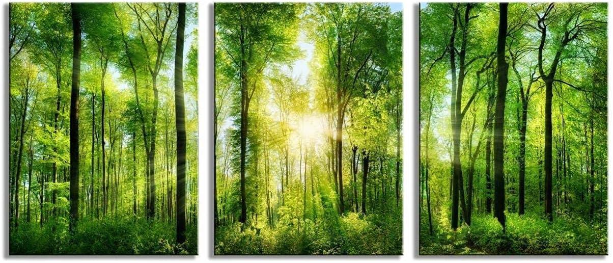 Green Forest Sunrise Landscape Canvas Print Set