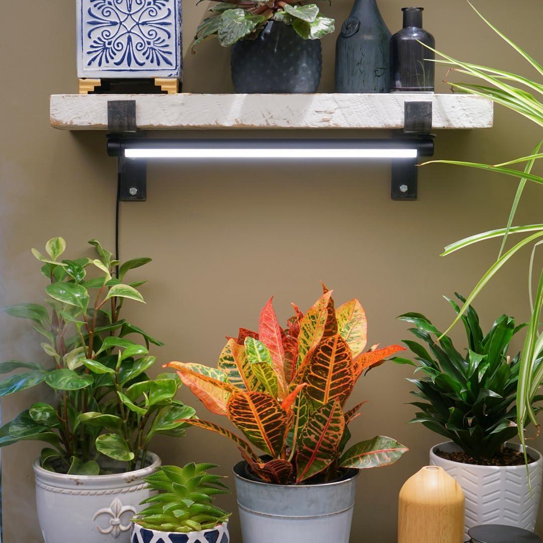 Soltech Solutions Grove™ LED Grow Light - Under-Cabinet/Shelving or Wall Mounted LED bar Light for Indoor houseplants and Herbs - Touch Control Power and dimming (White)