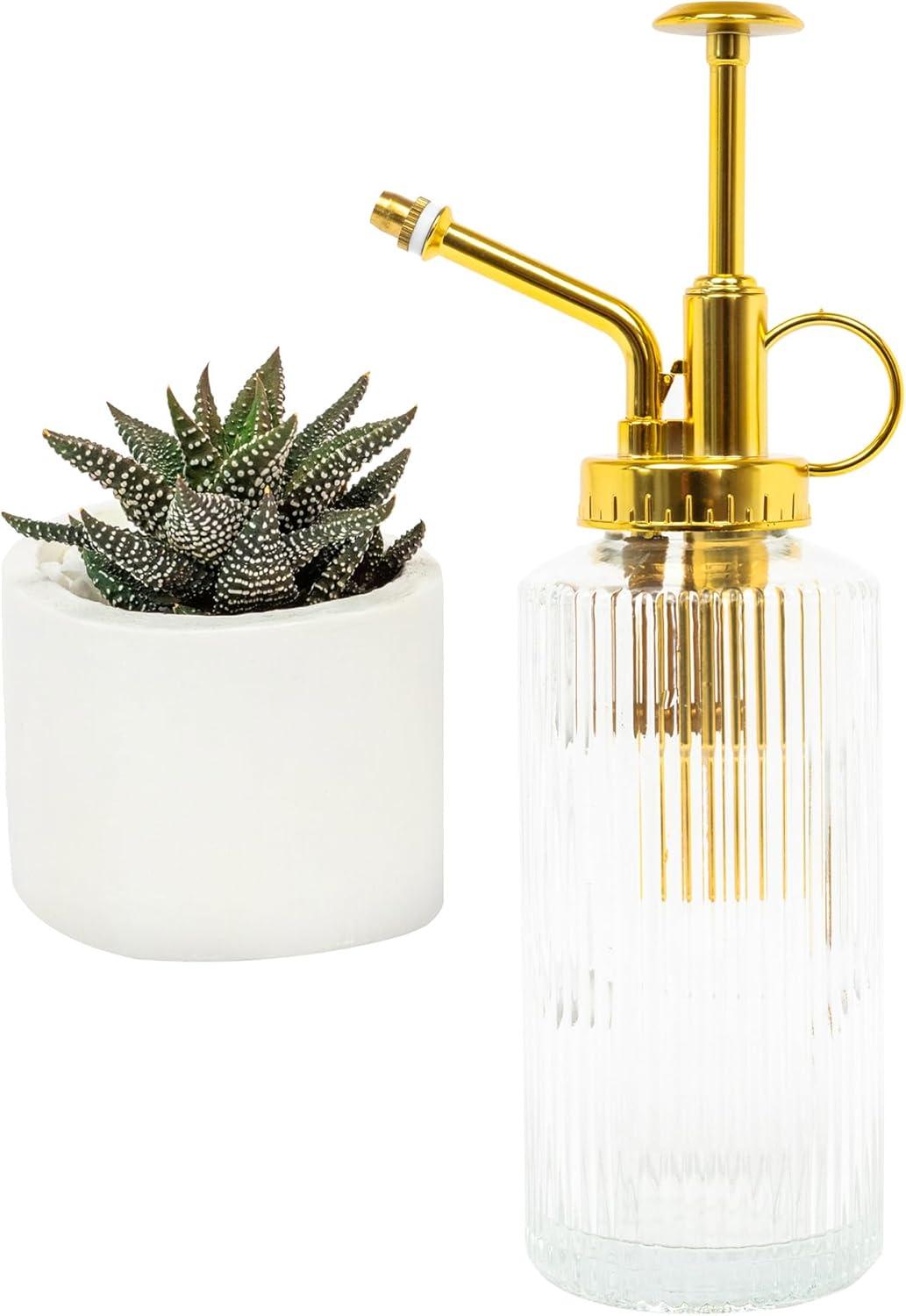 Glass Plant Mister for Inside, Mister for Plants, Plant Sprayer Mister, Decorative Plant Mister Spray Bottle with Adjustable Nozzle for Indoor Plants (230ml/ 7.8oz) - Clear