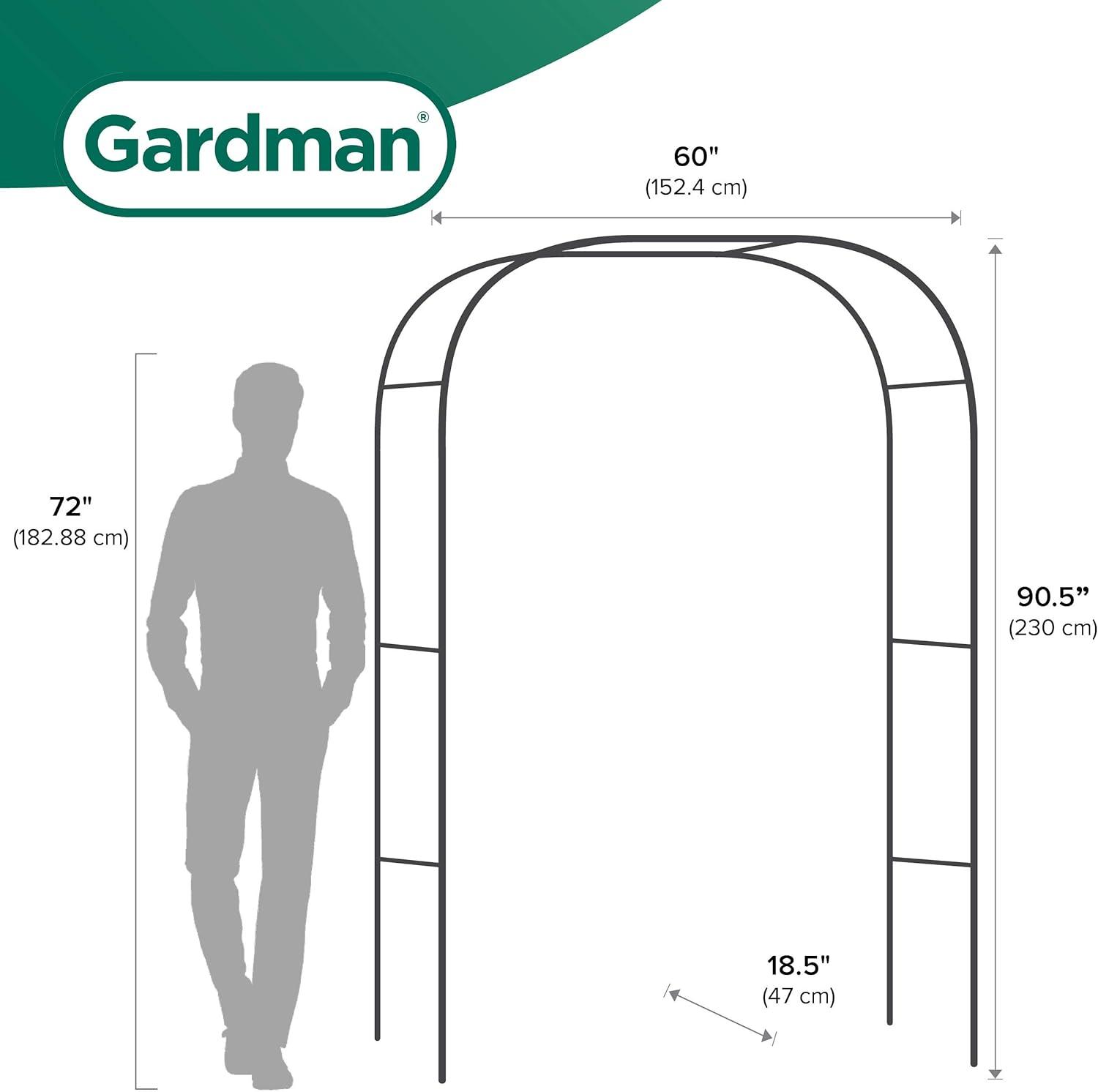 11'' W x 38'' D Metal Arbor in Black