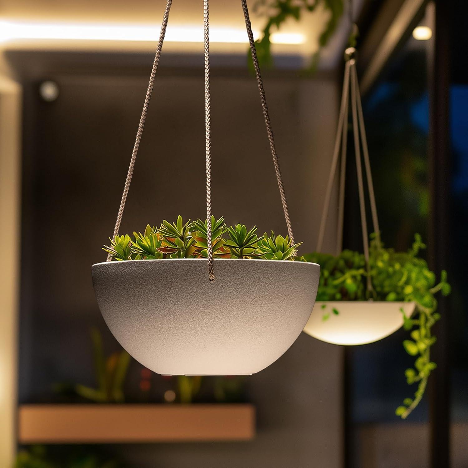 Boxdale Hanging Planter - Set of 2 (Set of 2)