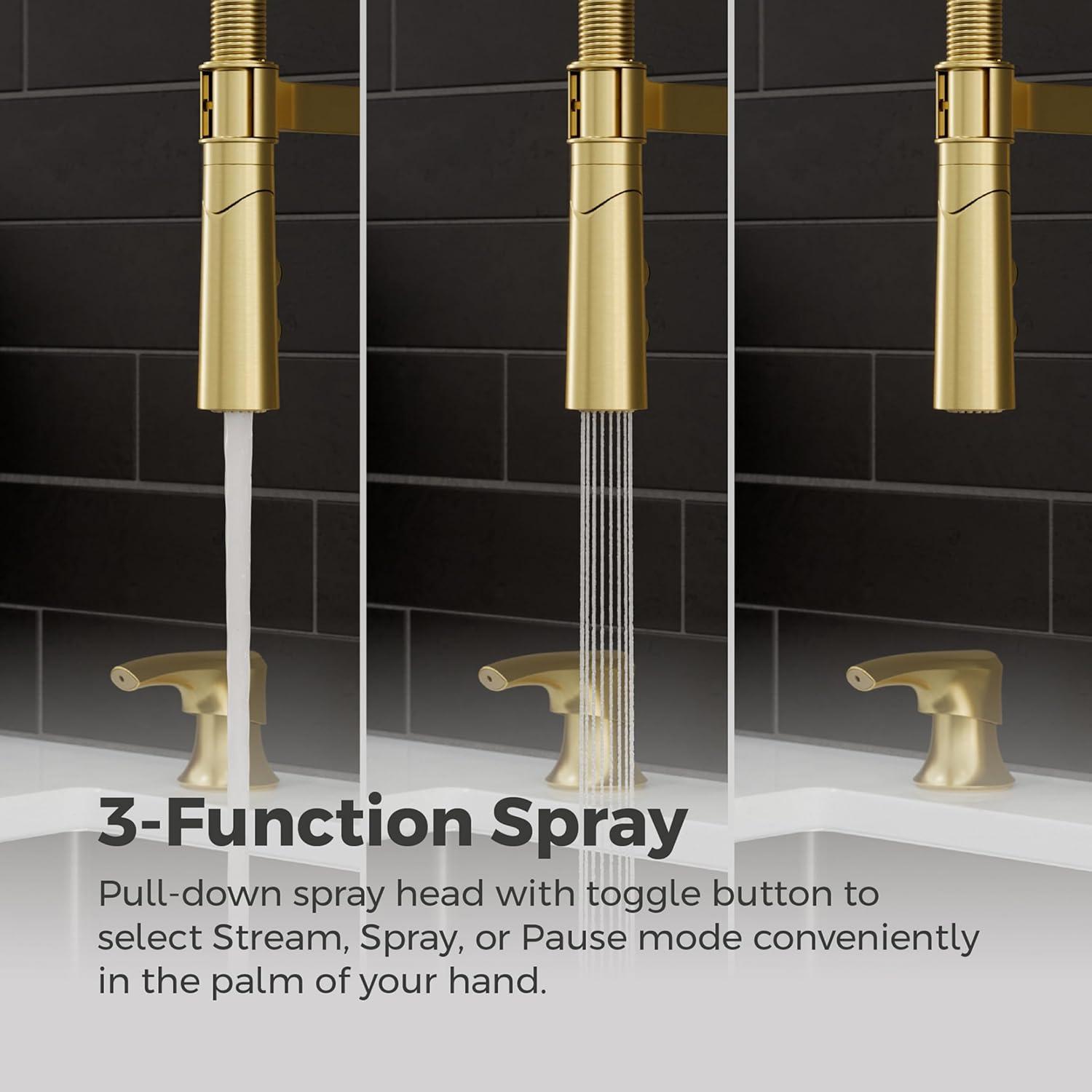 Ceylon Single Handle Culinary Pull Down Sprayer Kitchen Faucet in Brushed Gold