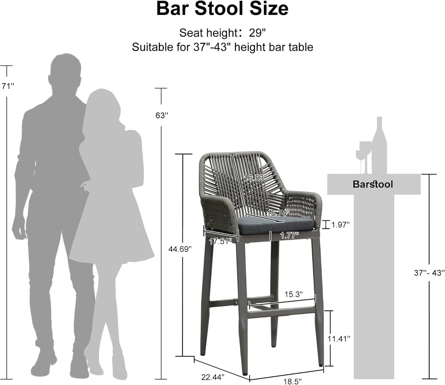 PURPLE LEAF Outdoor Wicker 29" Bar Stools Set of 2, Boho Patio Bar Height Chair with Cushion and Back for Outdoor and Indoor, Garden, Patio, Smoke Grey