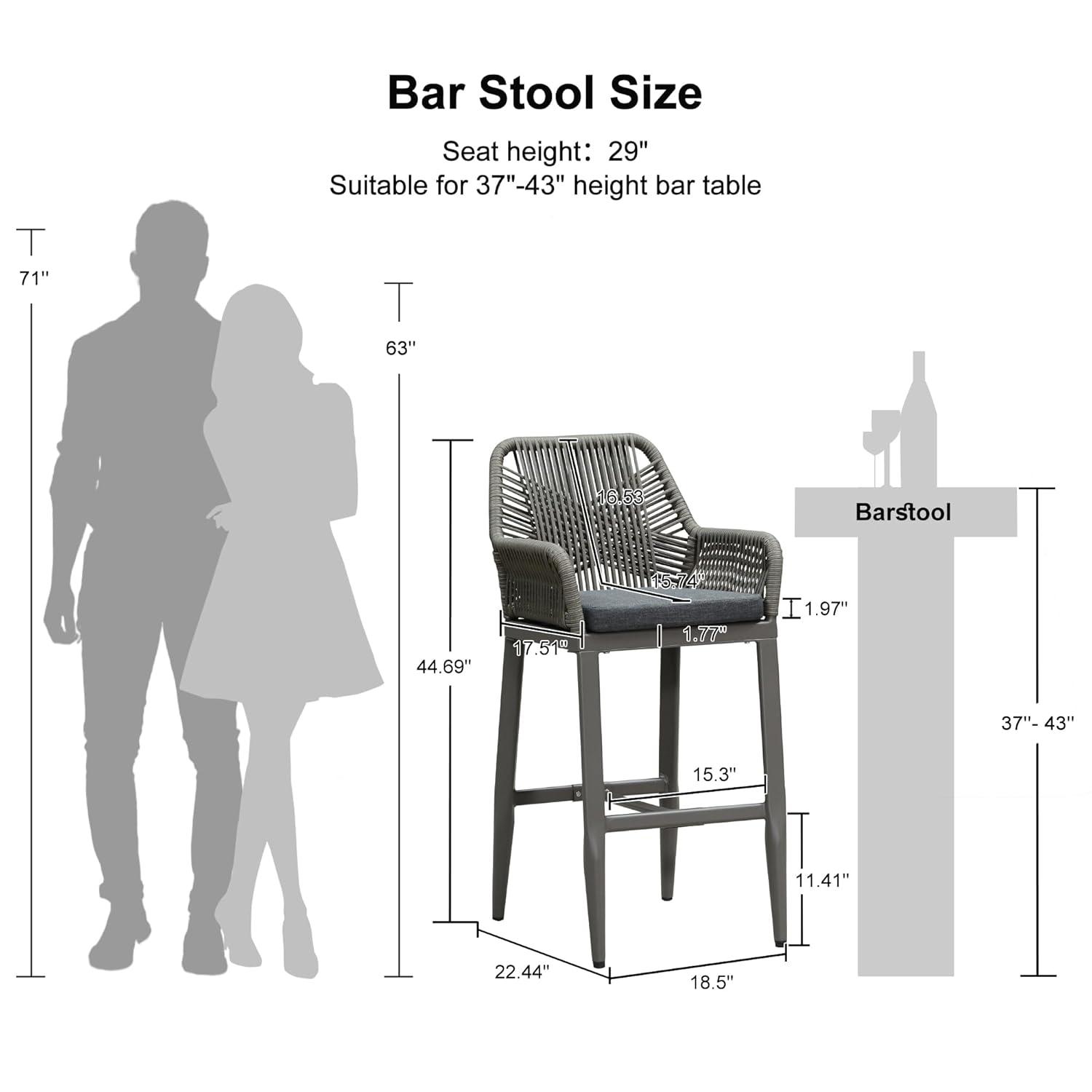 PURPLE LEAF Outdoor Wicker 29" Bar Stools Set of 2, Boho Patio Bar Height Chair with Cushion and Back for Outdoor and Indoor, Garden, Patio, Smoke Grey