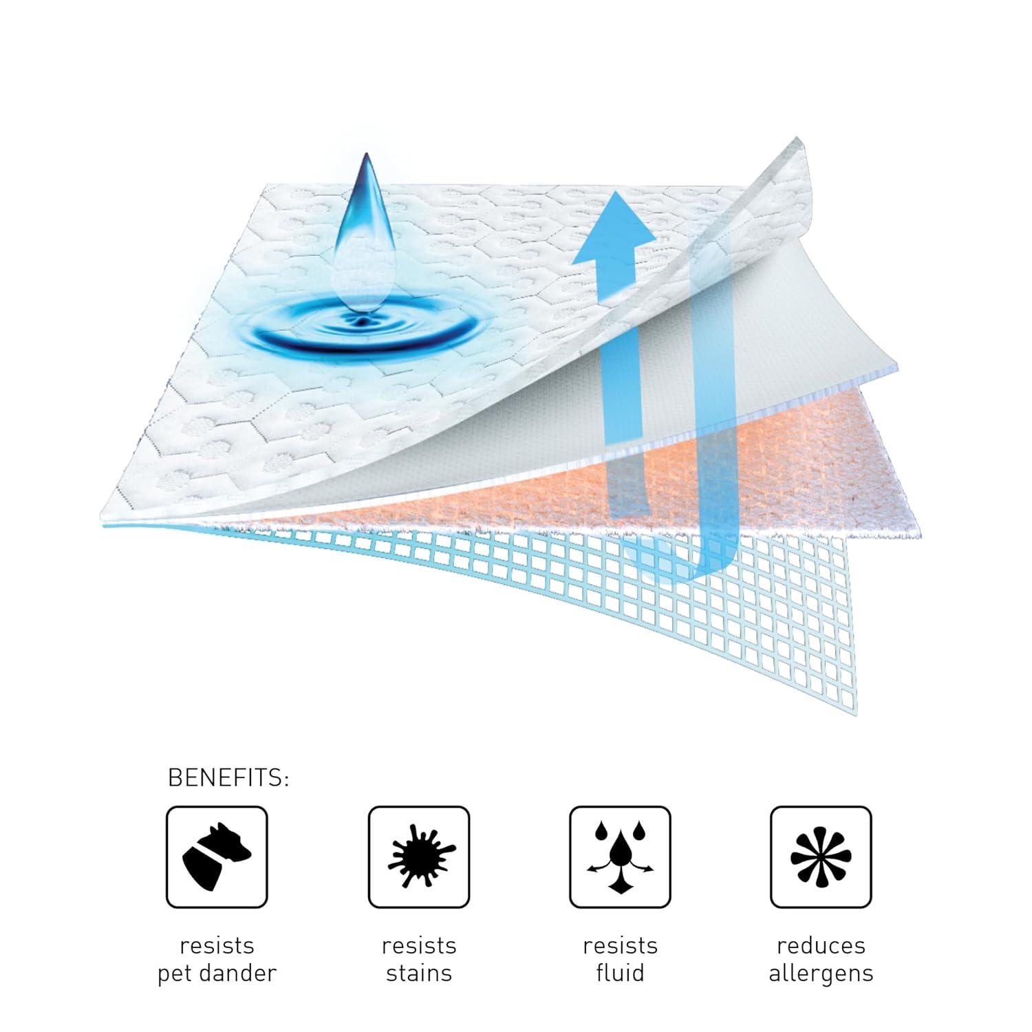 Bedgear Bedgear Dri-Tec Waterproof Mattress Protector - Hypoallergenic - Noiseless and Washable