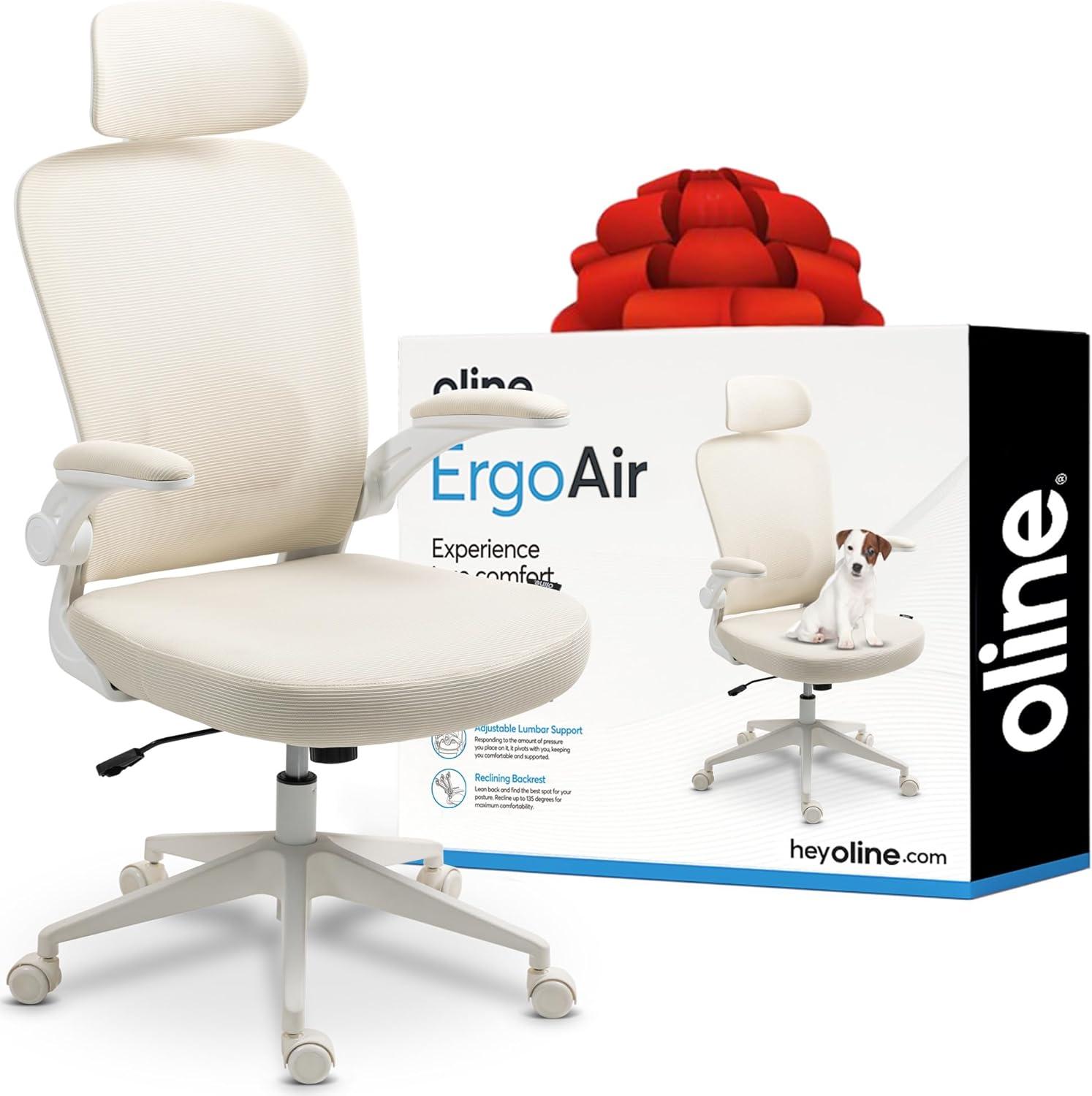 Oline Oline ErgoAir Ergonomic Office Chair – Adjustable Lumbar Support, Flip-Up Armrests, Mesh Computer Desk Chair, Swivel Rolling Executive Gaming Chair for Home & Office
