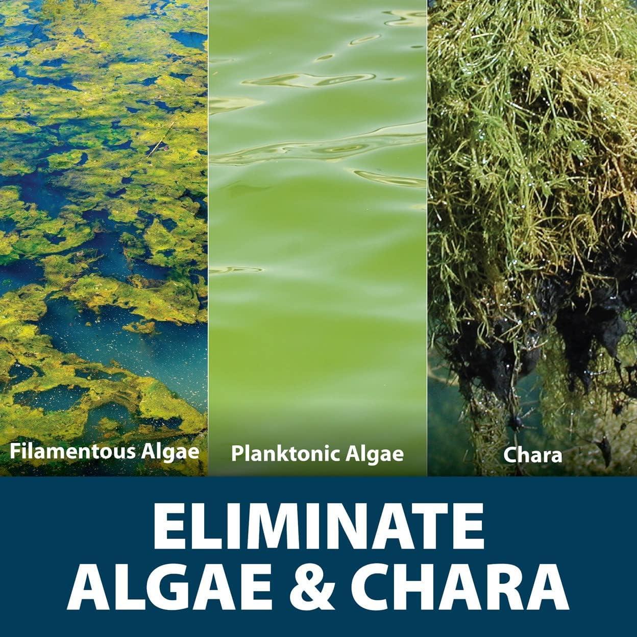 Airmax Algae Defense Pond Algae Control Treatment, For Clearer Pond Water, EPA Registered Algaecide Water Treatment, Safe for Use in Ponds Containing Fish and Plants, Treats 8000 sq ft, 1 Gallon