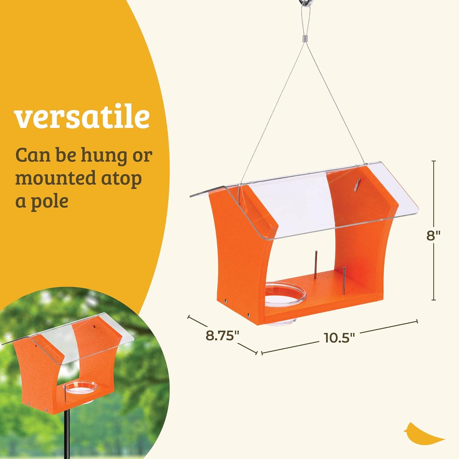 Birds Choice Birds Choice 3-oz. Nectar and Jelly Oriole Feeder, Orange