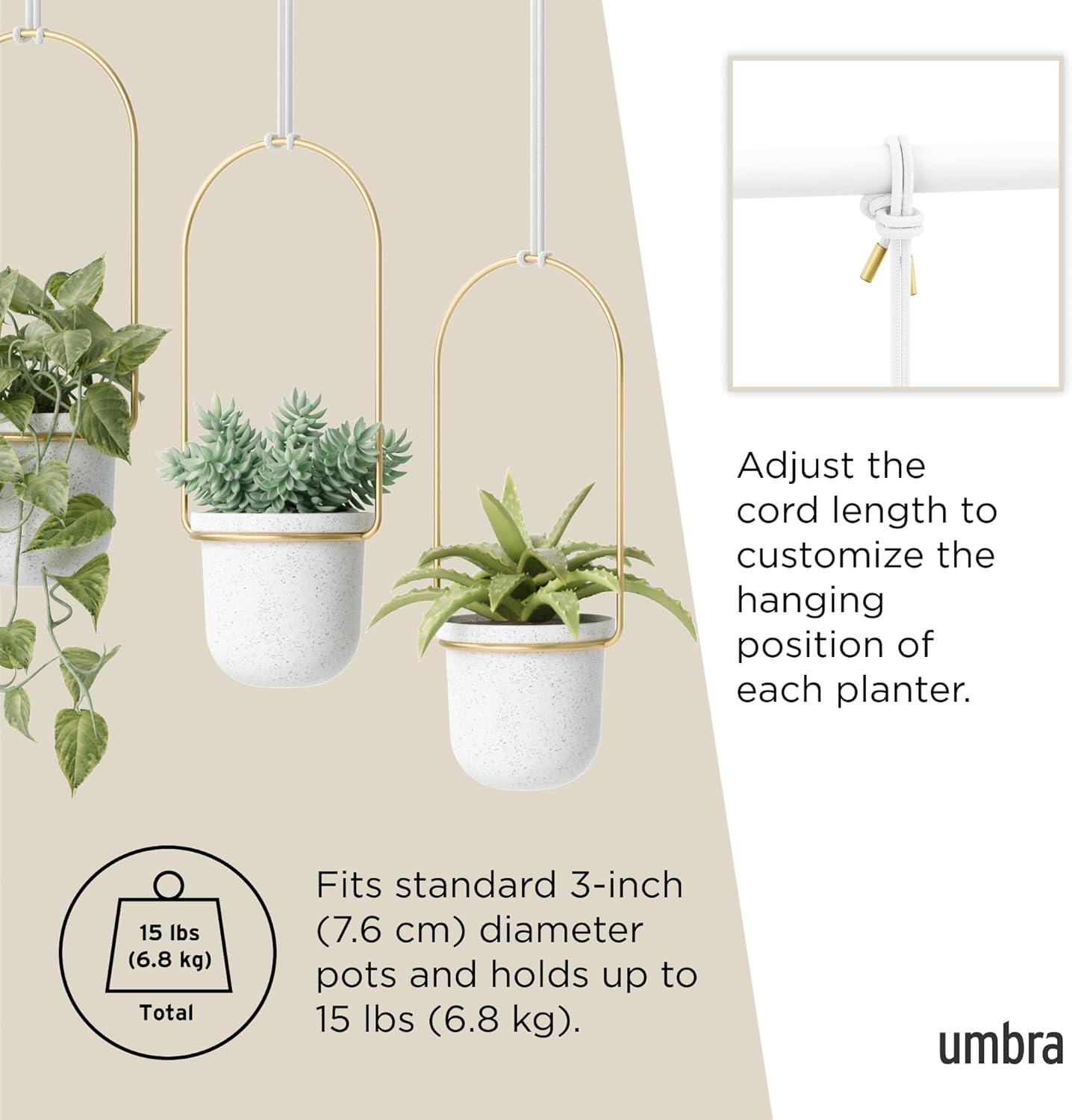 Umbra Triflora 3 Hanging Wall Planter