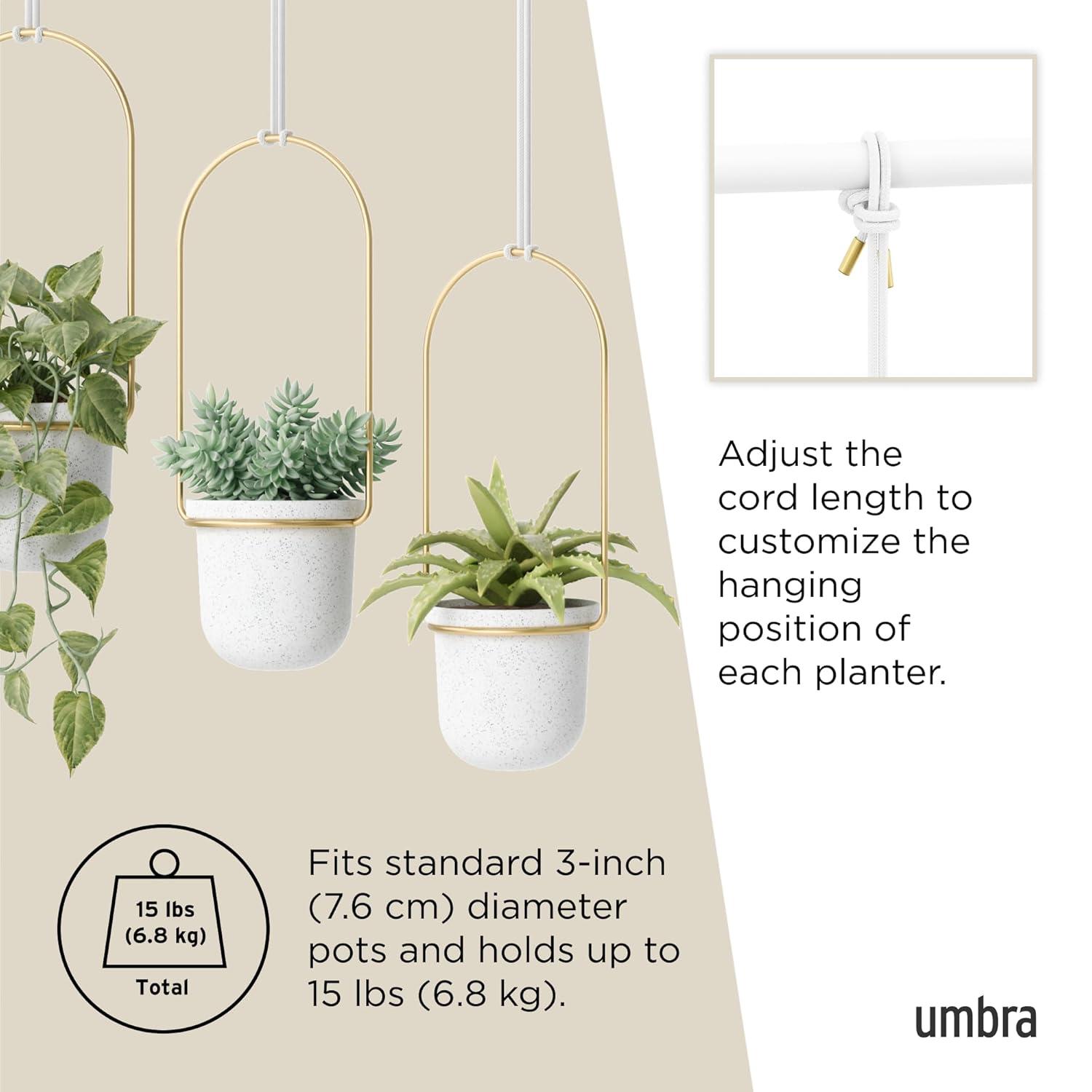 Umbra Triflora 3 Hanging Wall Planter
