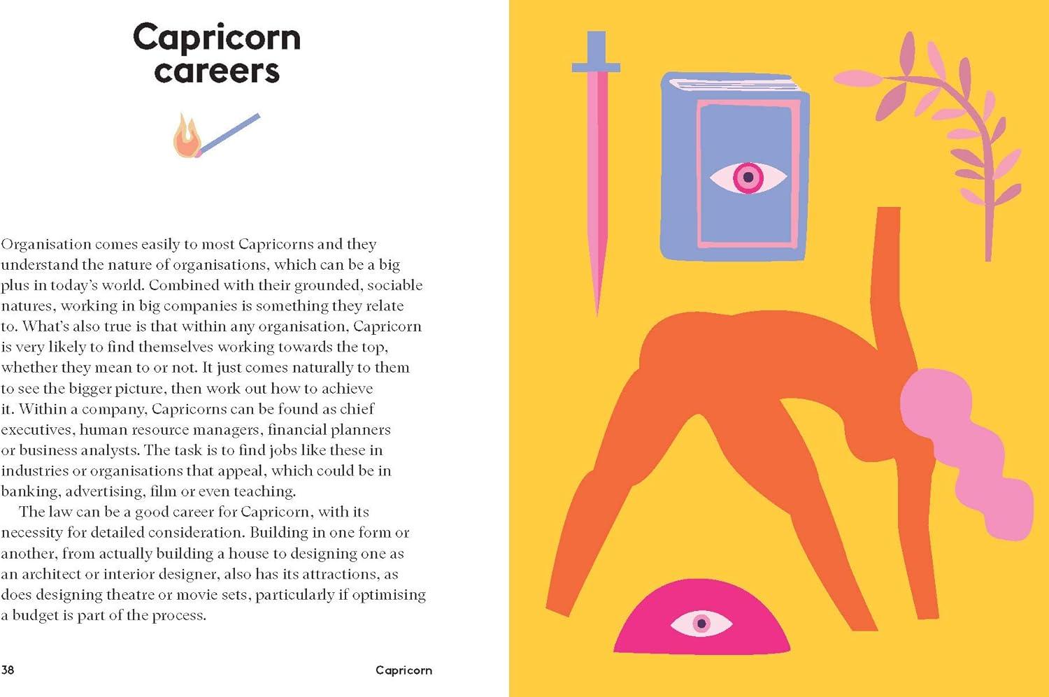 Capricorn - (Hg Seeing Stars) by  Stella Andromeda (Hardcover)