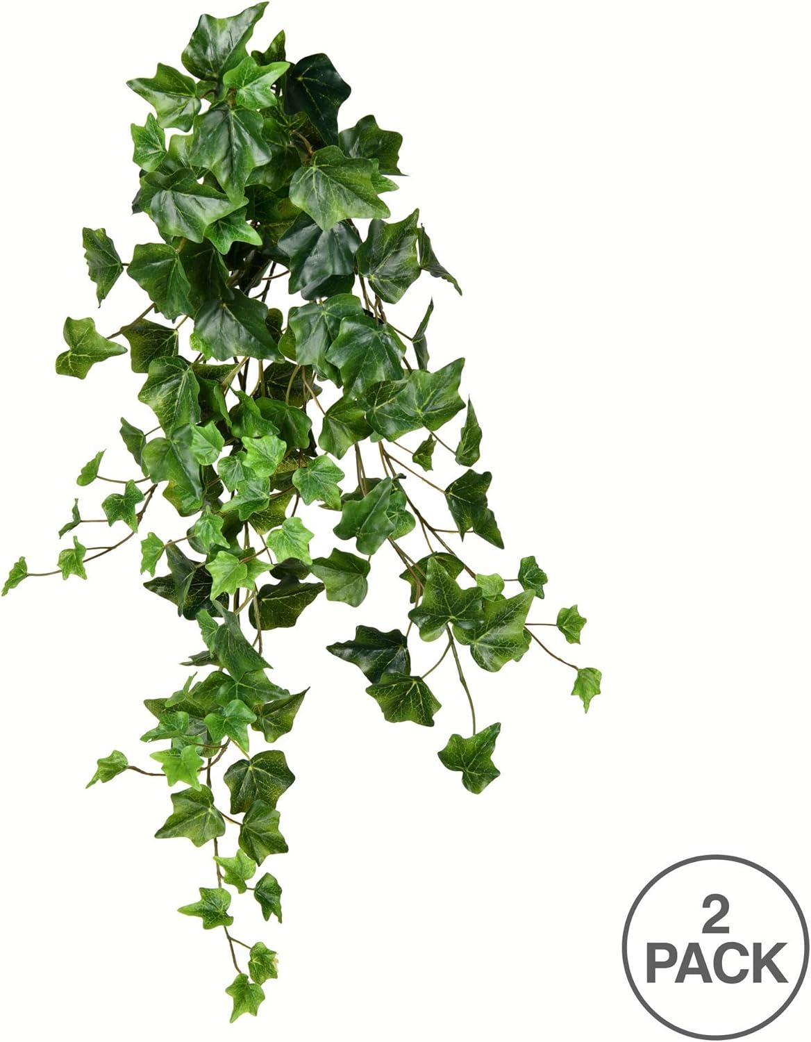Vickerman 28" Artificial Green Ivy Hanging Bush, Pack of 2