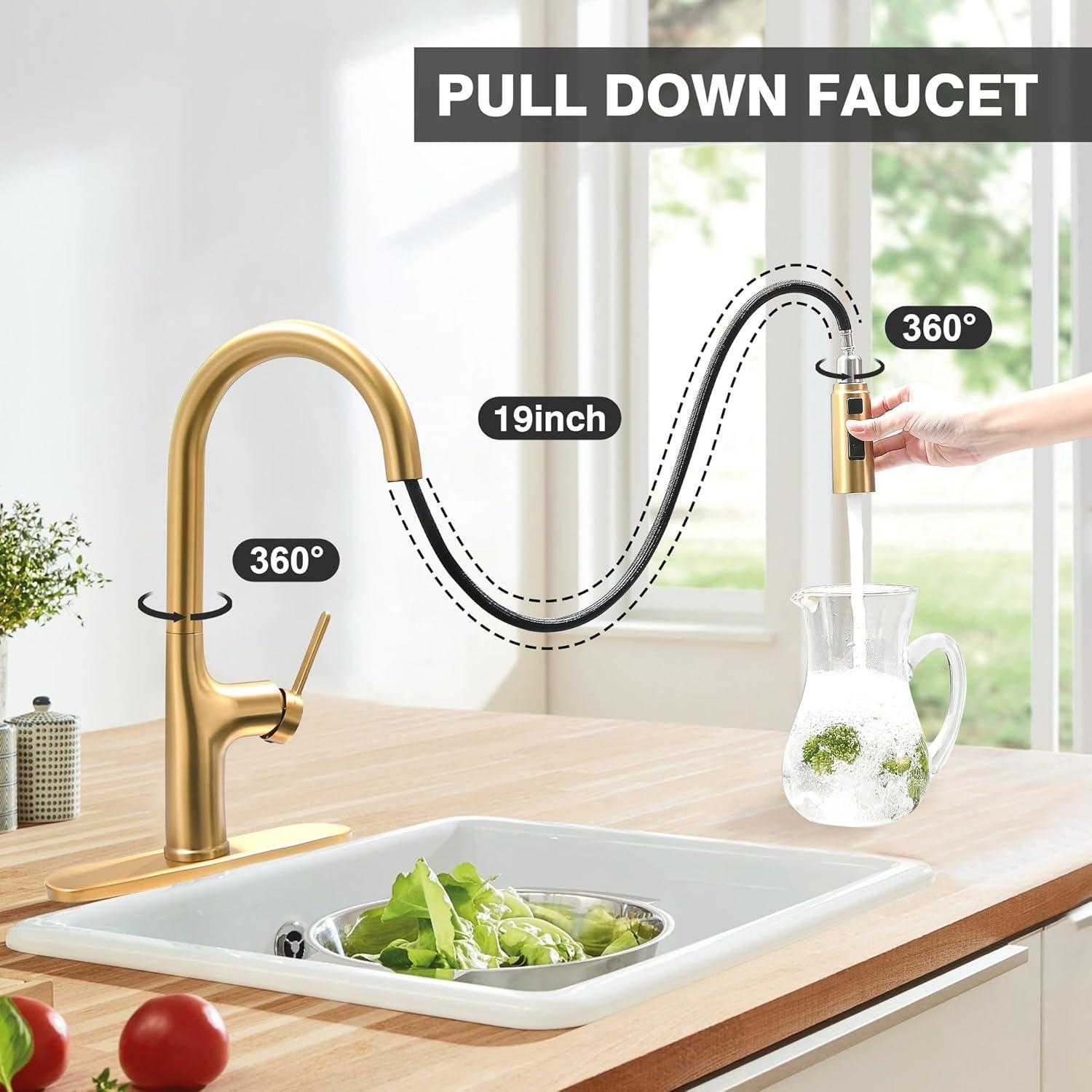 Kitchen Faucet Single Handle Stainless Steel Kitchen Sink Faucet with Pull Out Sprayer Brushed Gold Sprayer and Handle