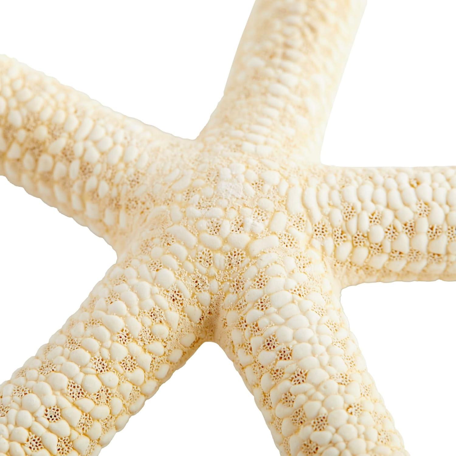 Juvale 12 Pack White Finger Starfish for Nautical Décor, Vase Filler, Craft Supplies (4 to 6 in)