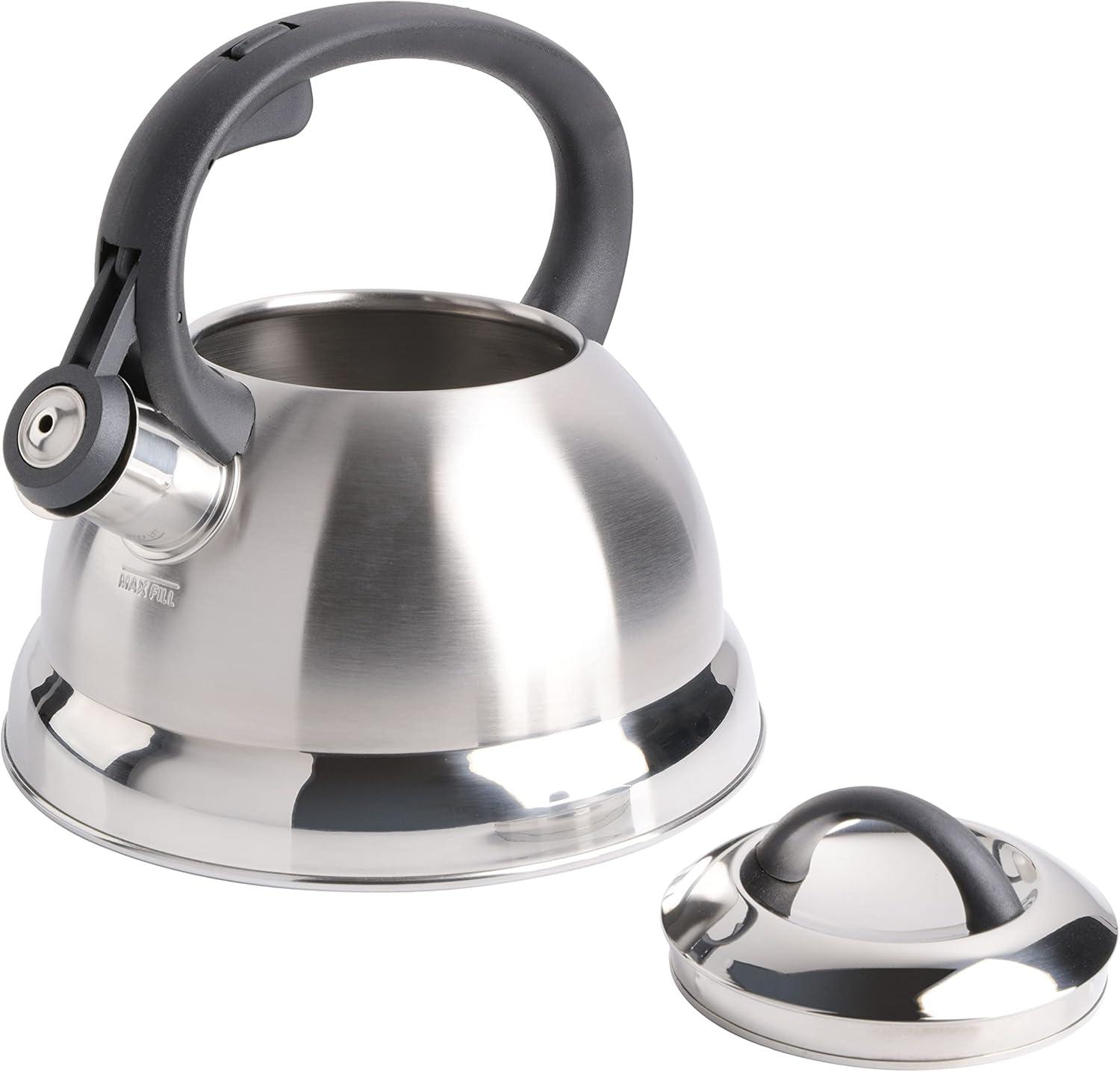 Mr. Coffee Flintshire Stainless Steel Whistling Tea Kettle, 1.75-Quart, Brushed Satin