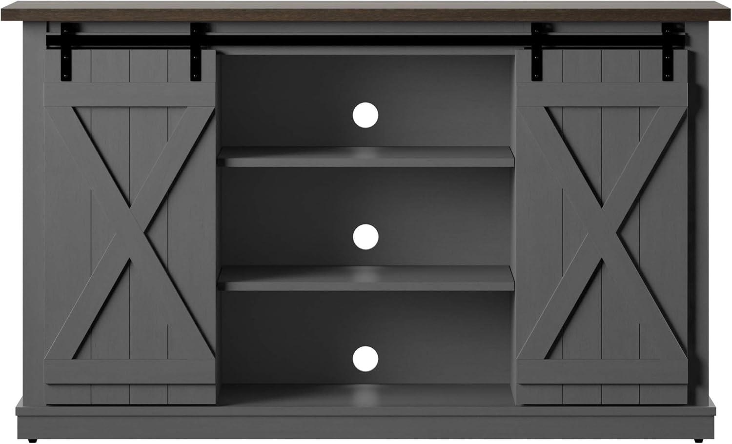 Twin Star Home Terryville Barn Door TV Stand for TVs up to 60", Dark Gray