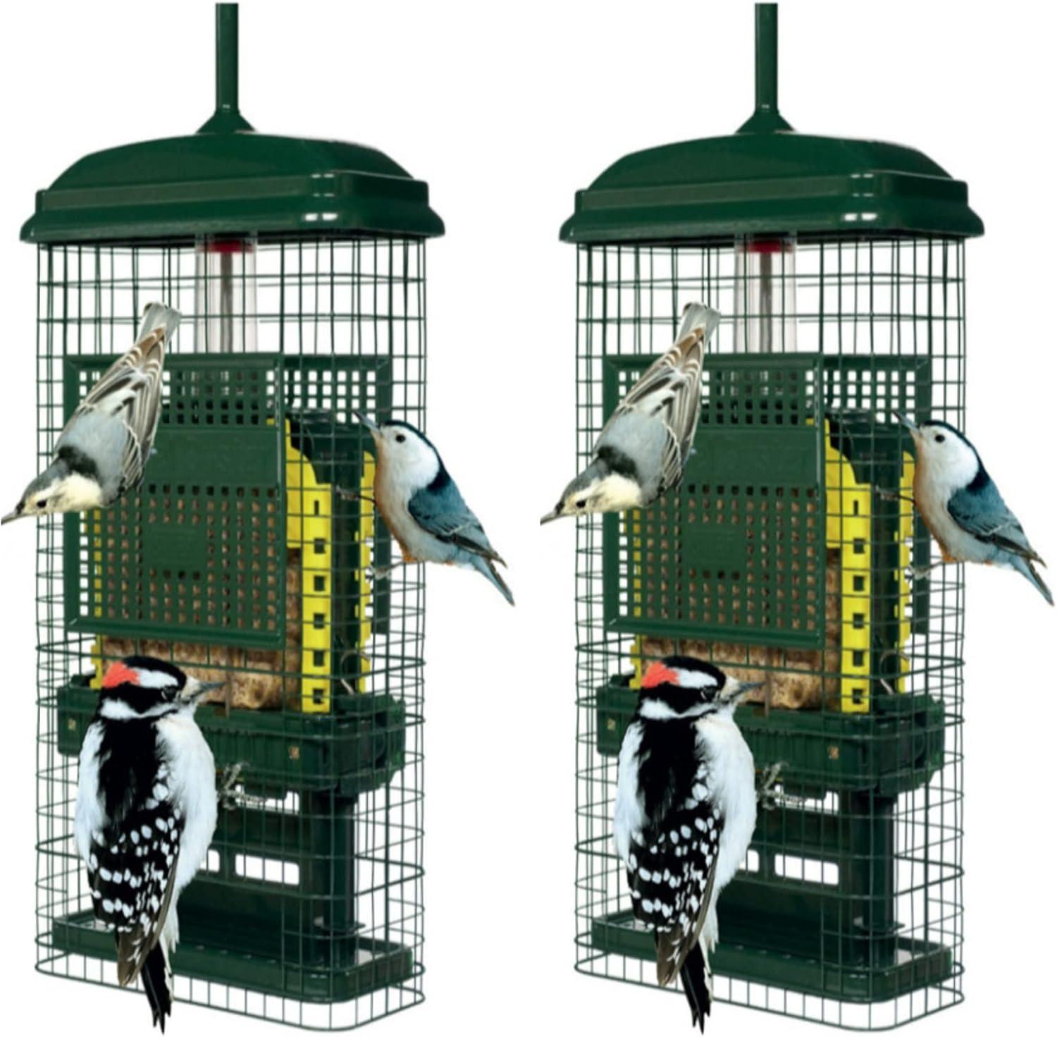 Brome Bird Care Squirrel Buster Truly Squirrel-Proof Suet Feeder (Green, 2-Pack)