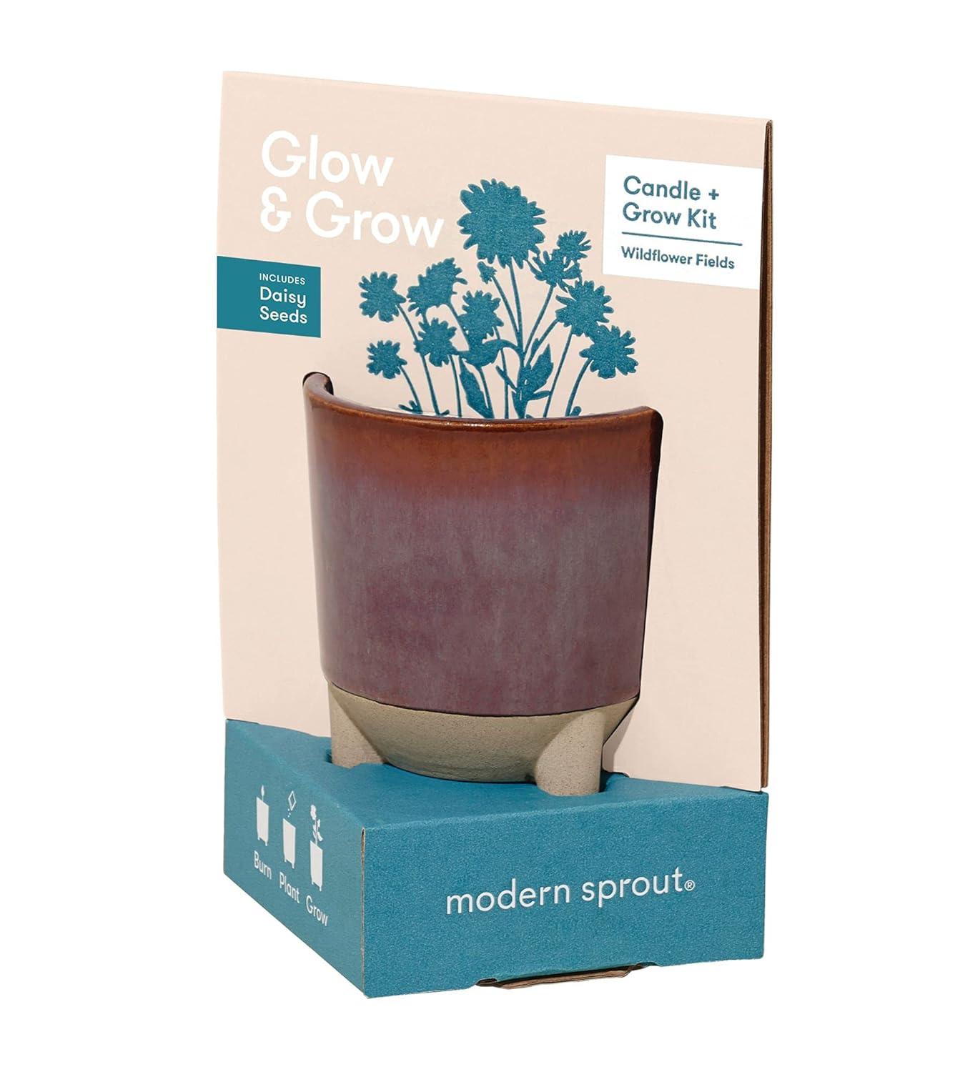 Wildflower Fields Ceramic Candle and Daisy Grow Kit