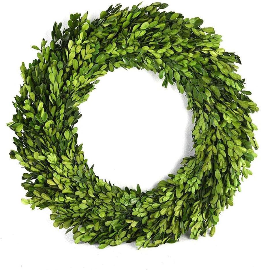 Alby Preserved Boxwood Real Greenery Wreath