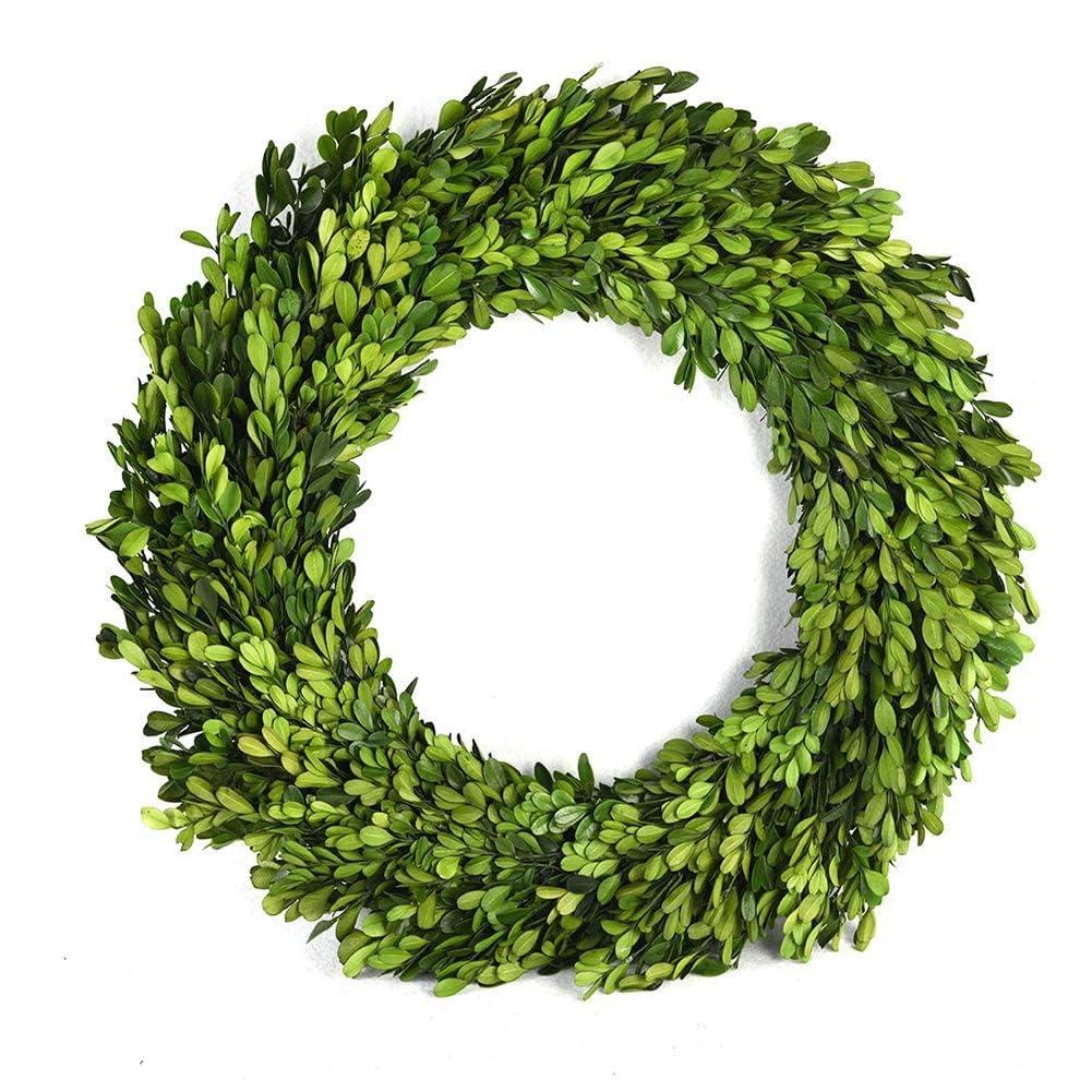 Alby Preserved Boxwood Real Greenery Wreath