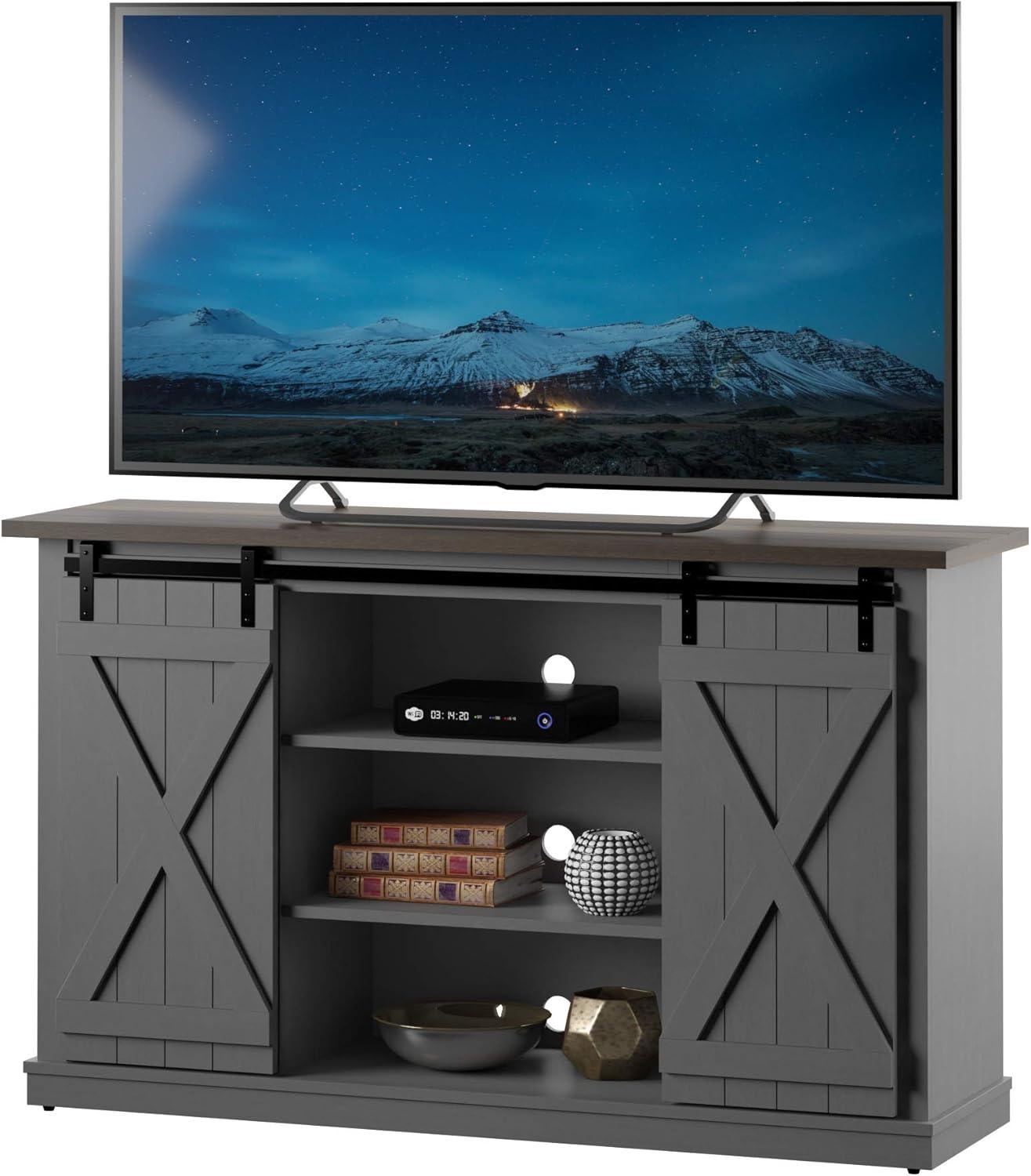 Twin Star Home Terryville Barn Door TV Stand for TVs up to 60", Dark Gray