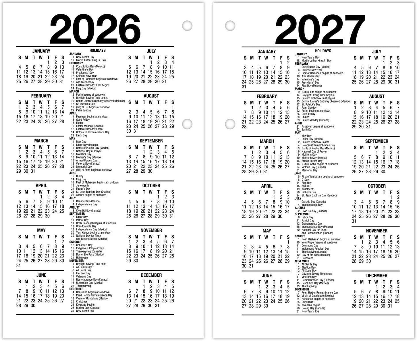 AT-A-GLANCE 2025 Daily Loose-Leaf Desk Calendar Refill Standard 3 12 x 6 - Desk