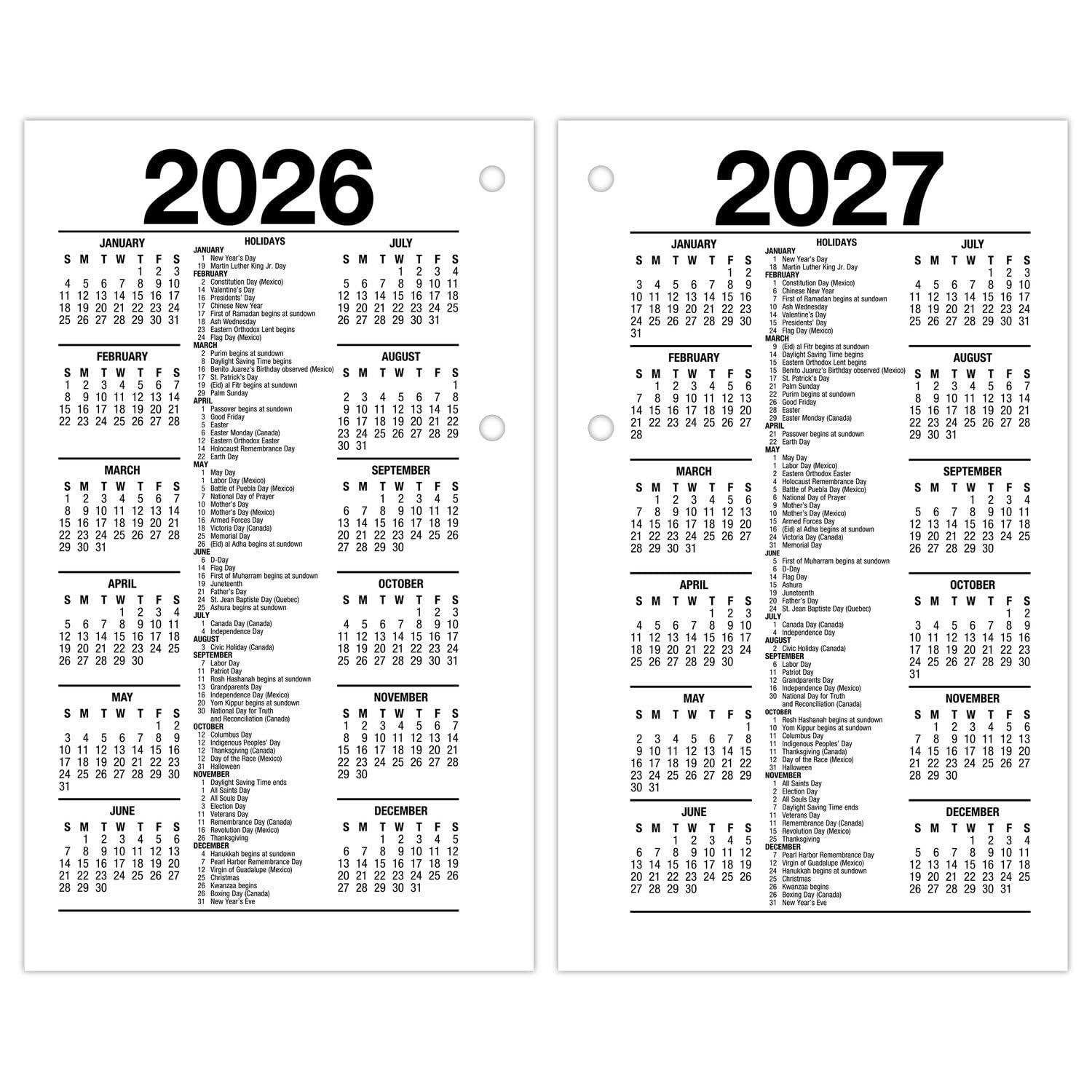 AT-A-GLANCE 2025 Daily Loose-Leaf Desk Calendar Refill Standard 3 12 x 6 - Desk