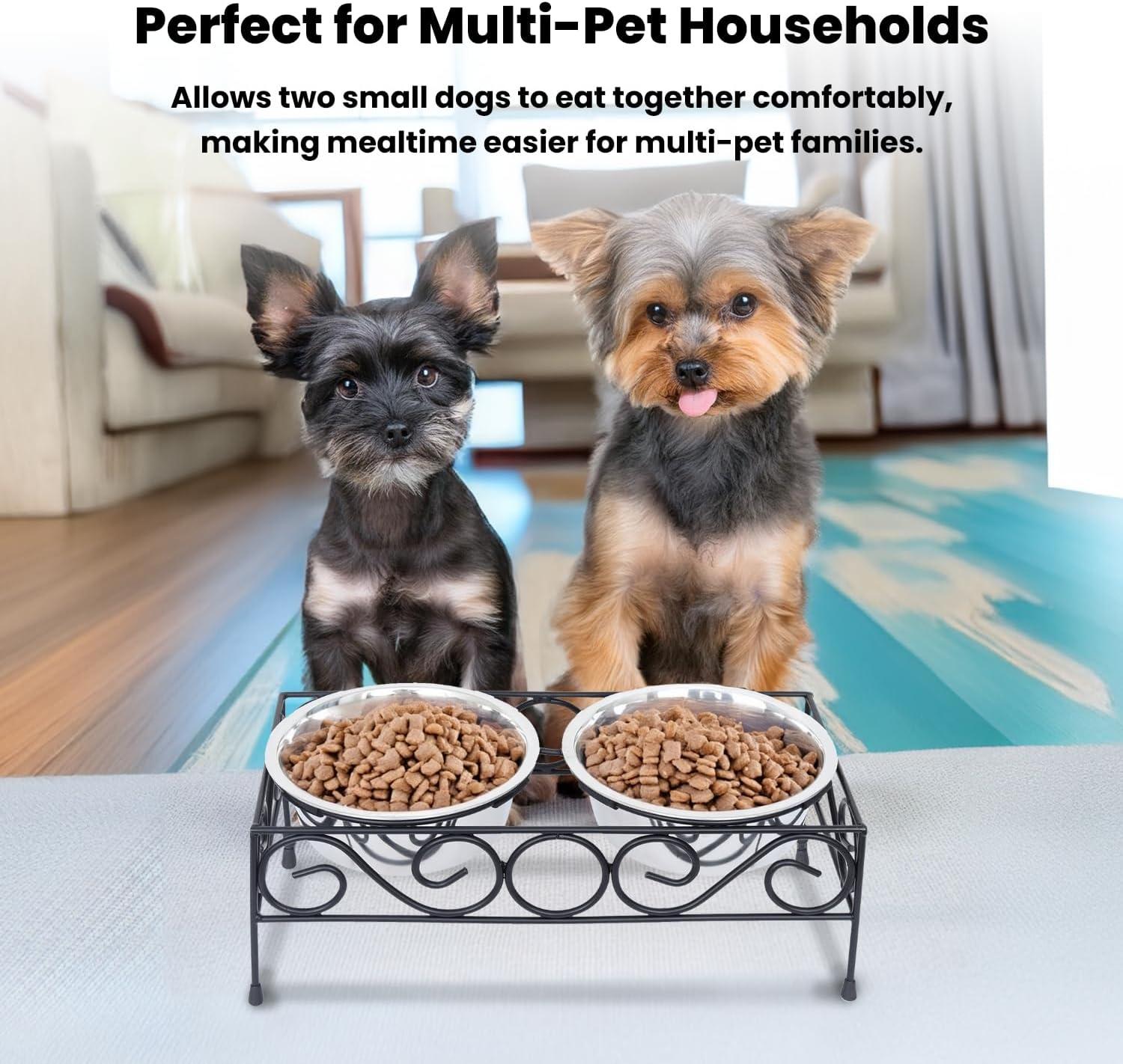 Elevated Dog Double Diner with 2 Stainless Steel Bowls