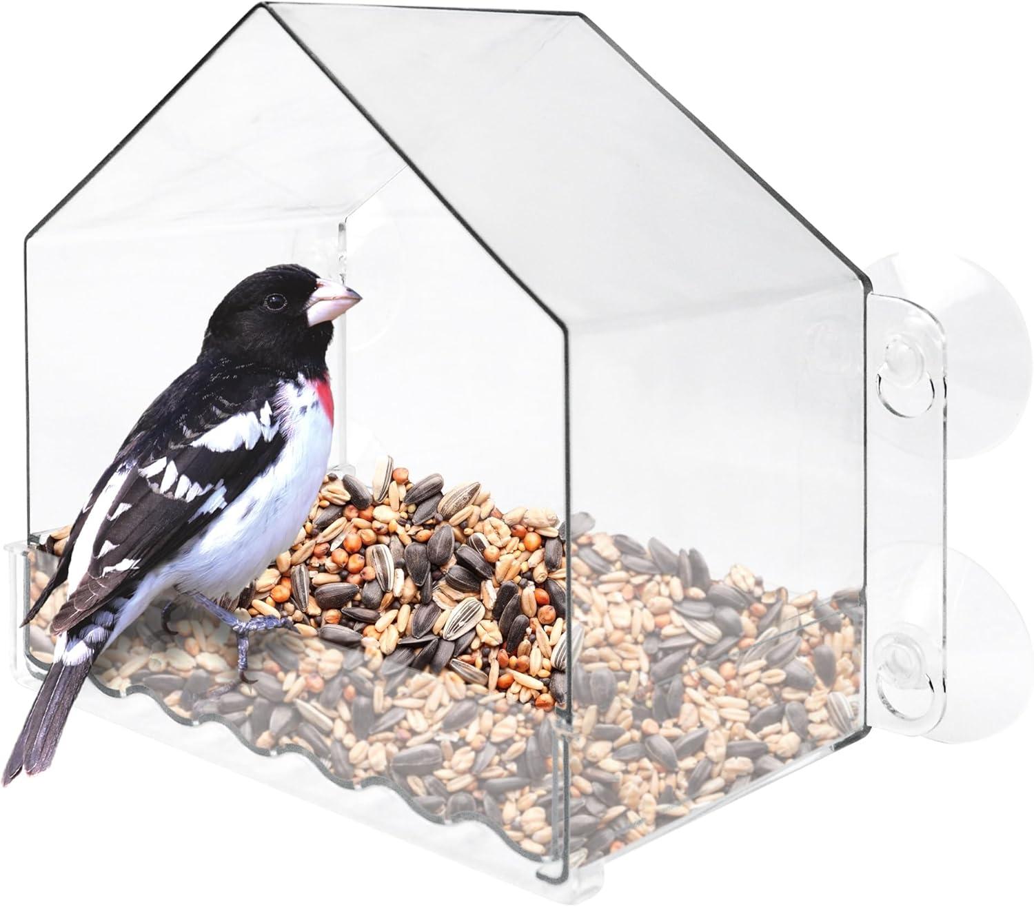 Clear Plastic Window Bird Feeder with Suction Cups