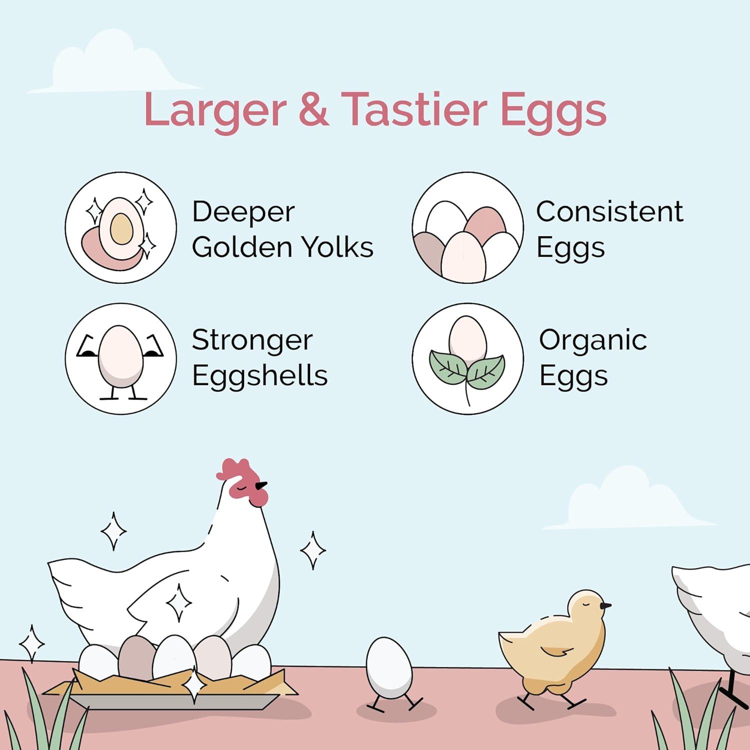 Mile Four | Layer Organic Chicken Feed | 100% US Grown Grains, Certified Organic, Certified Non-GMO, Corn-Free, Soy-Free, Non-Medicated Chicken Food | 16% Protein | Whole Grain | 23 lbs.