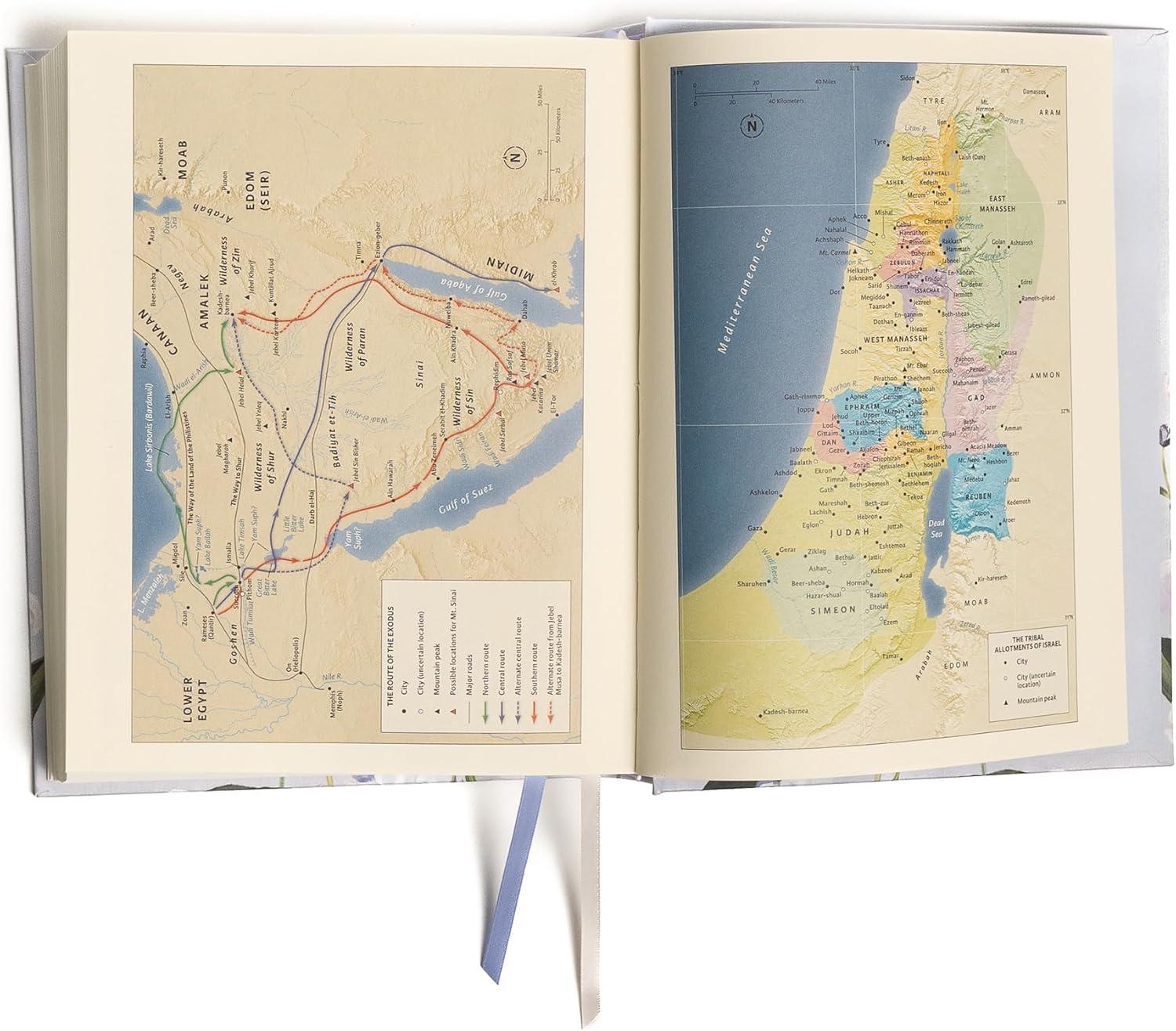 CSB Notetaking Bible, Large Print Hosanna Revival Edition, Lavender/Peach Cloth Over Board - by  Csb Bibles by Holman (Hardcover)