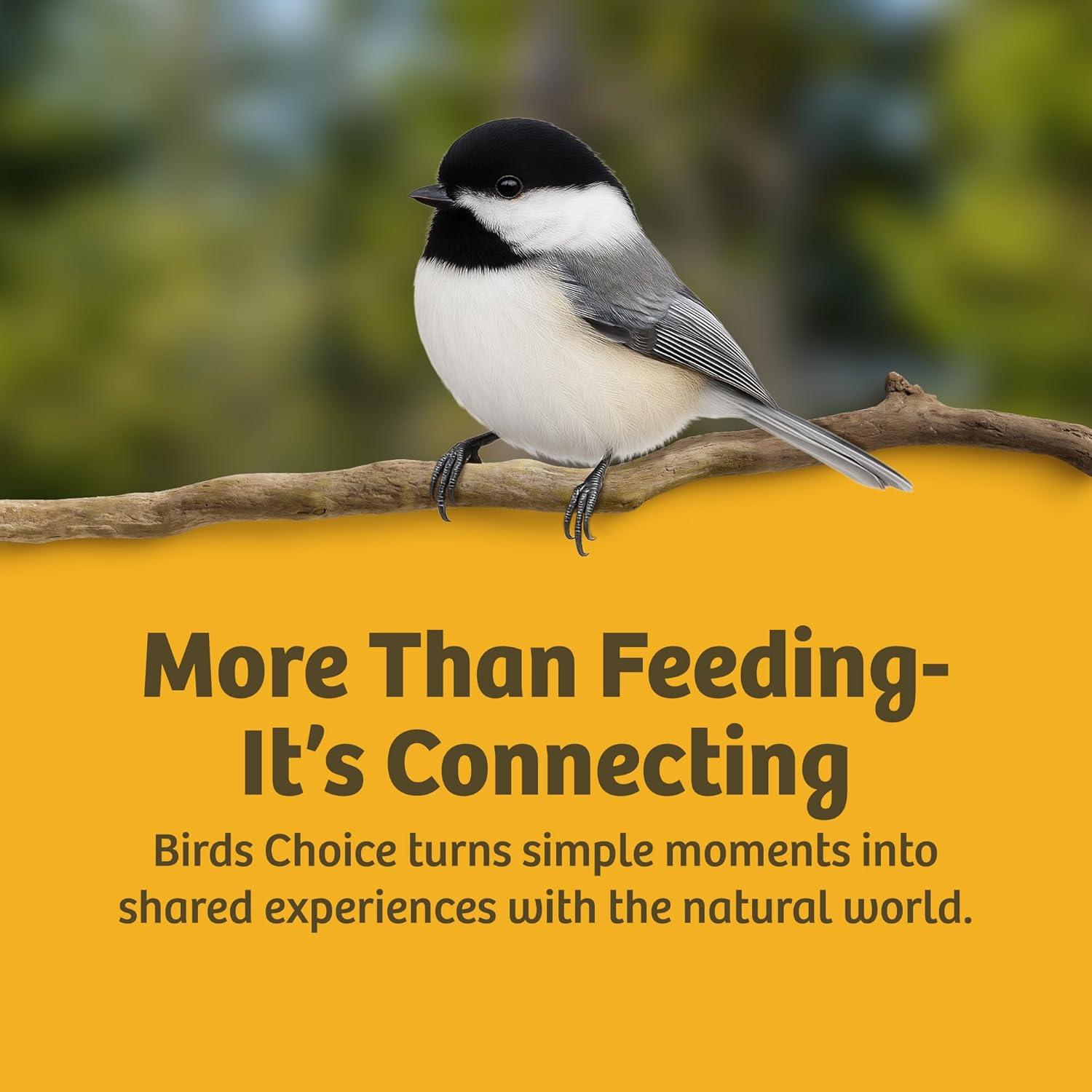 Birds Choice Birds Choice 12" Recycled Single Cake Tail Prop Suet Feeder, Taupe/Green