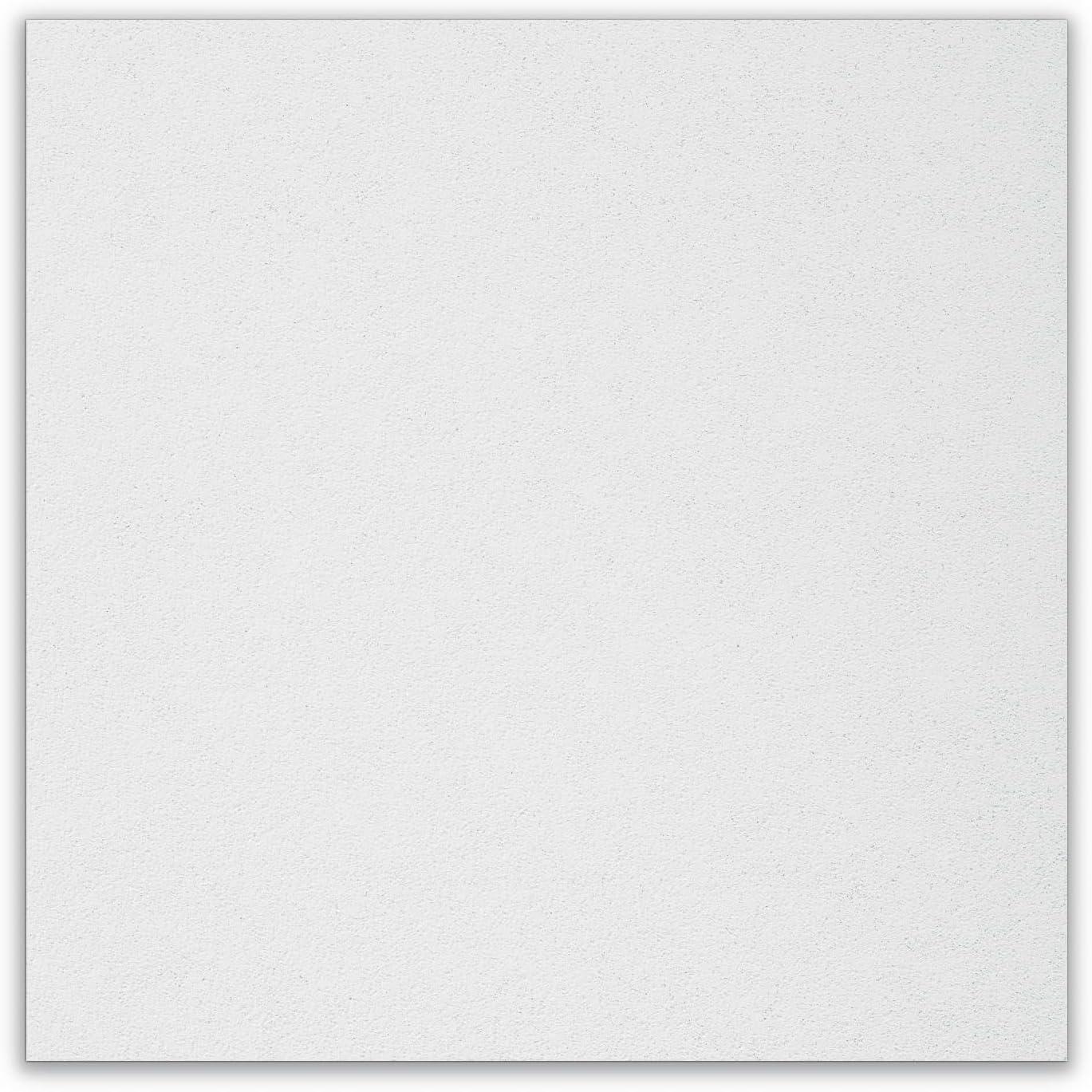 Ceiling Tile,24" W,24" L,3/4" Thick,PK12