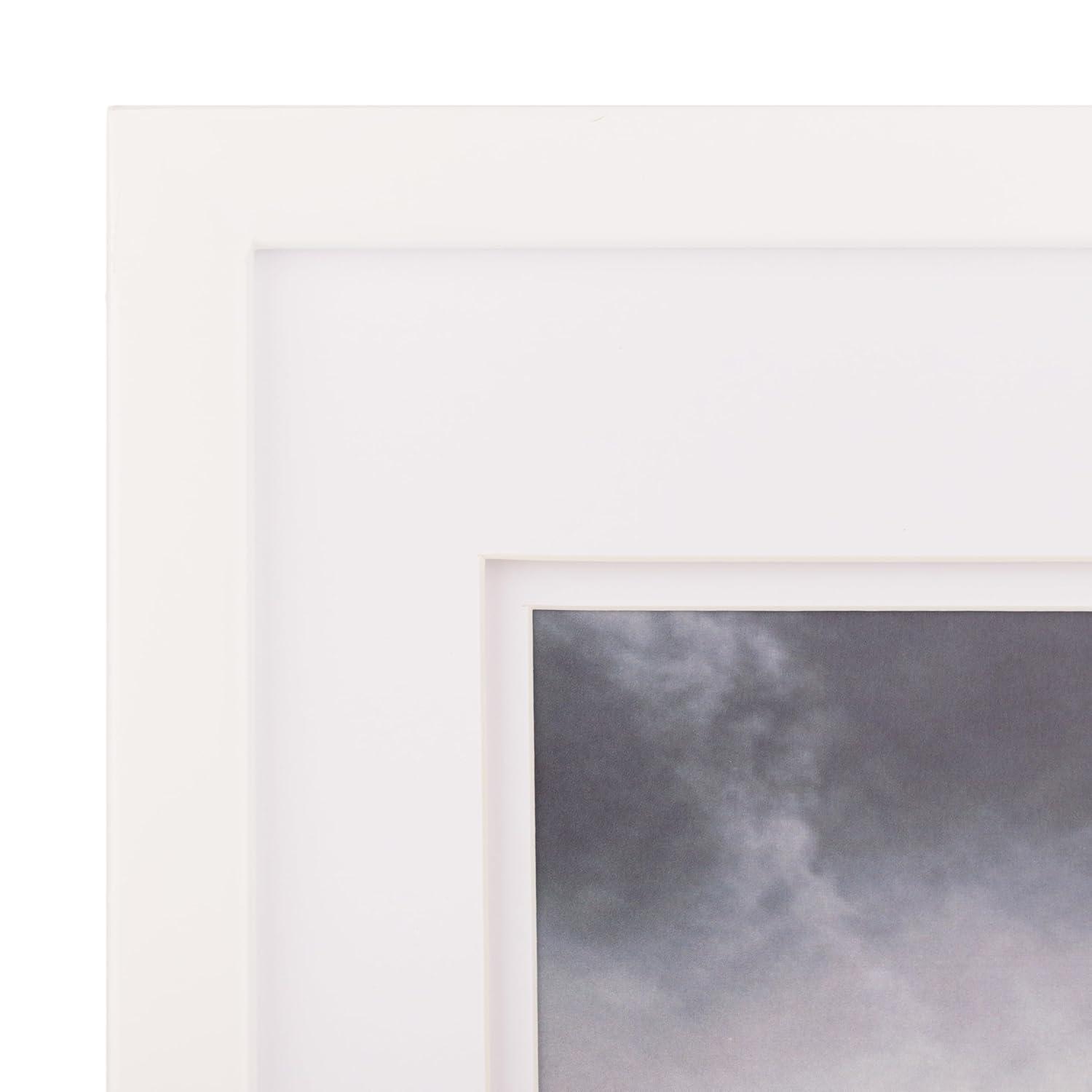 Gallery Solutions Wall Mount Double Airfloat Mat Picture Frame