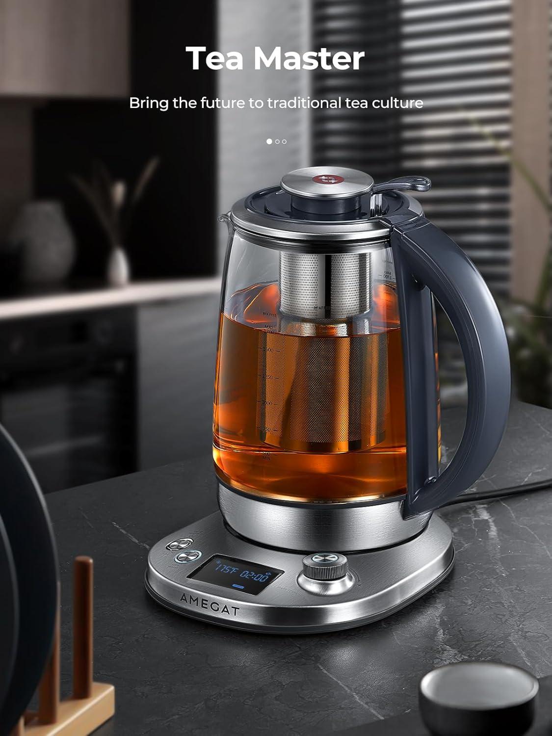 Stainless Steel Borosilicate Glass Electric Tea Kettle with Infuser