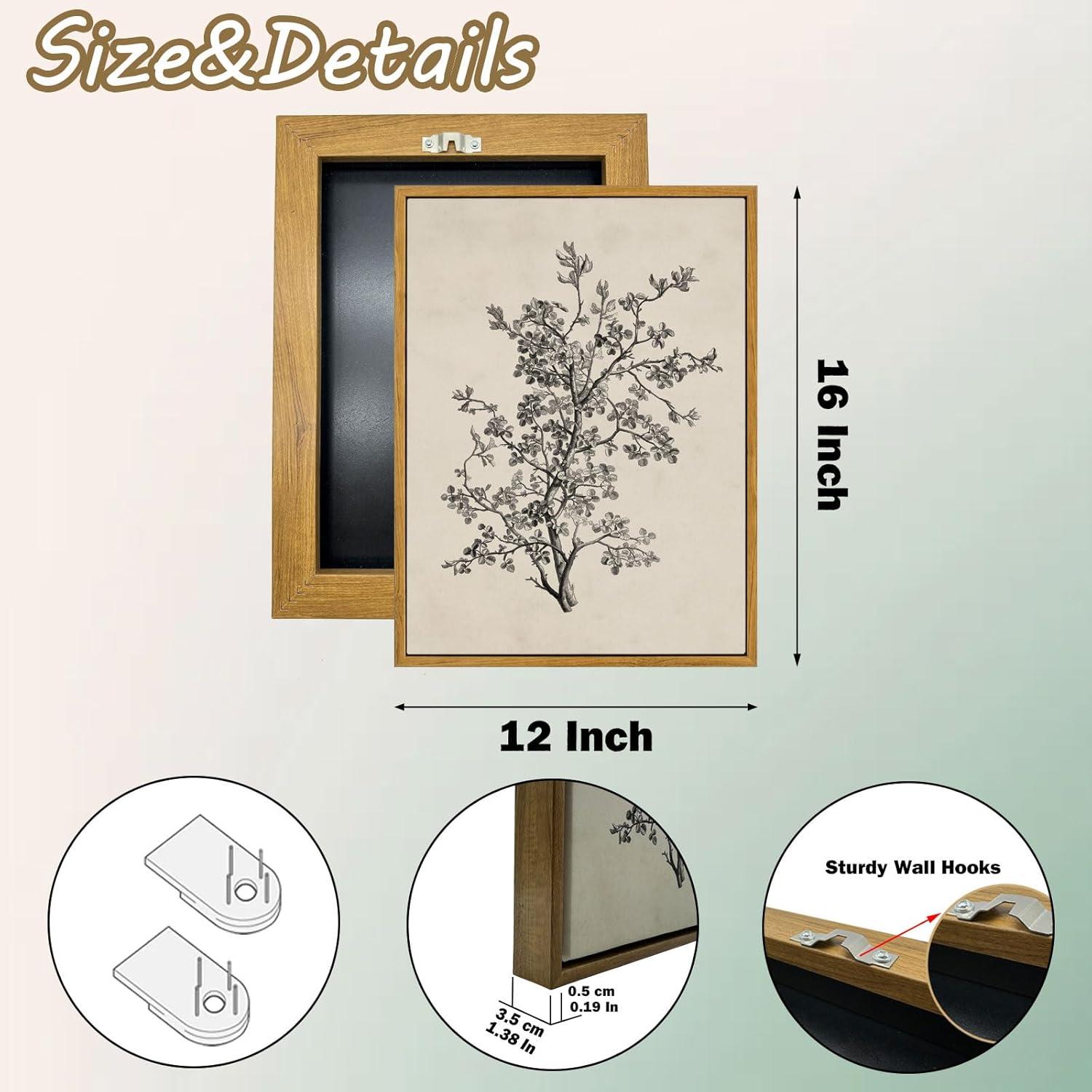 Vintage Botanical Wall Art Prints - Black and White Sketch Art Decor - Antique Pictures and Rustic Paintings for Living Room Bedroom - 12"x16" Unframed