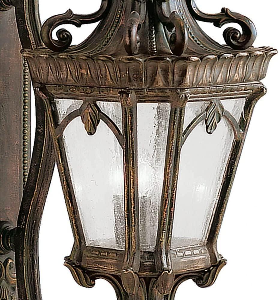 Tournai 37.75" 4 Light Outdoor Wall Light with Clear Seeded Glass in Textured Black
