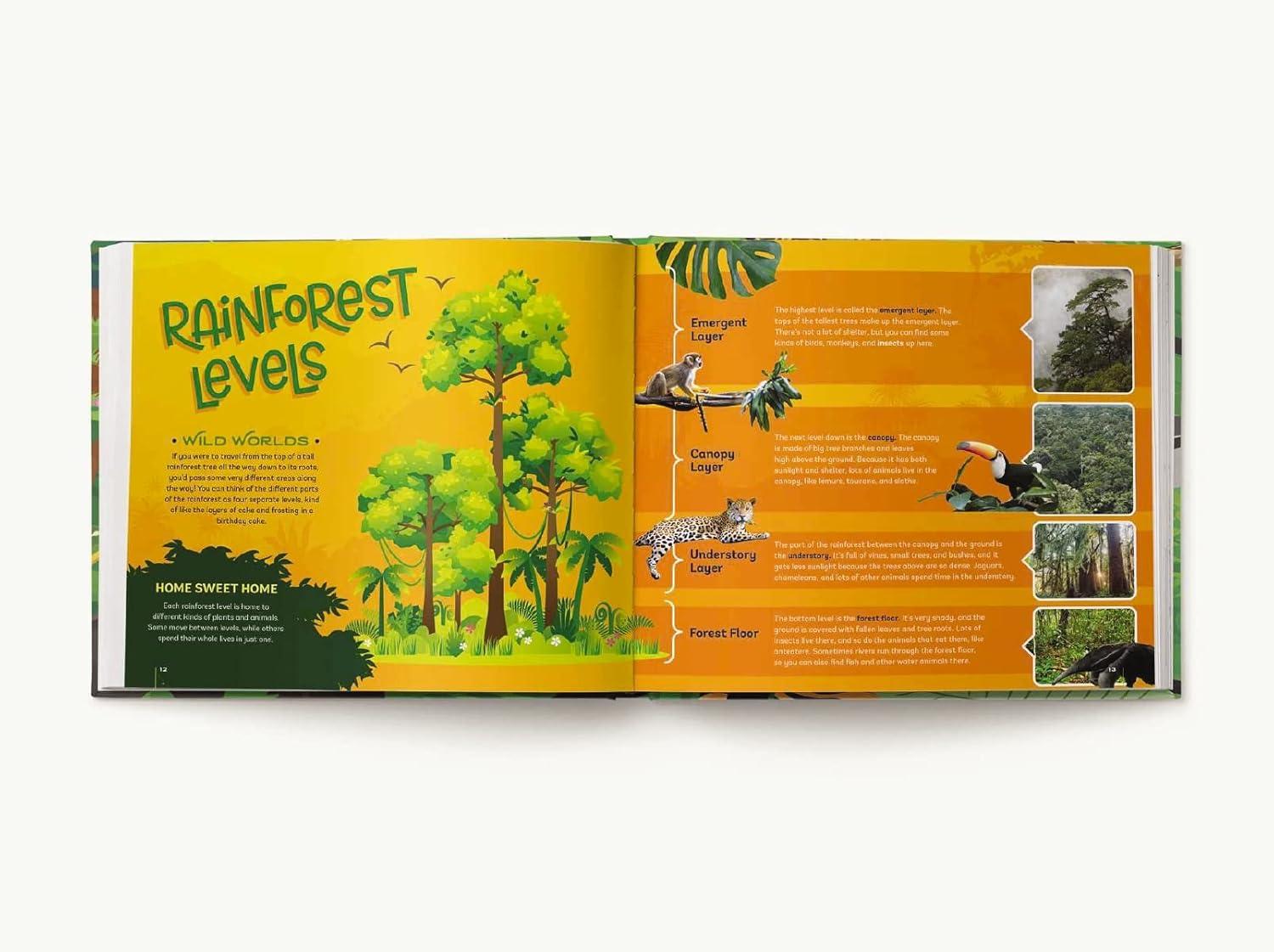 Your Bedroom is a Rainforest! Glow-in-the-Dark Animal Stickers Book