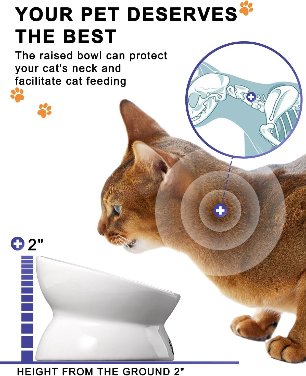 Cat Bowl Anti Vomiting,Raised Cat Food Bowls, Tilted Elevated Cat Bowl, Ceramic Pet Food Bowl for Flat Faced Cats, Small Dogs