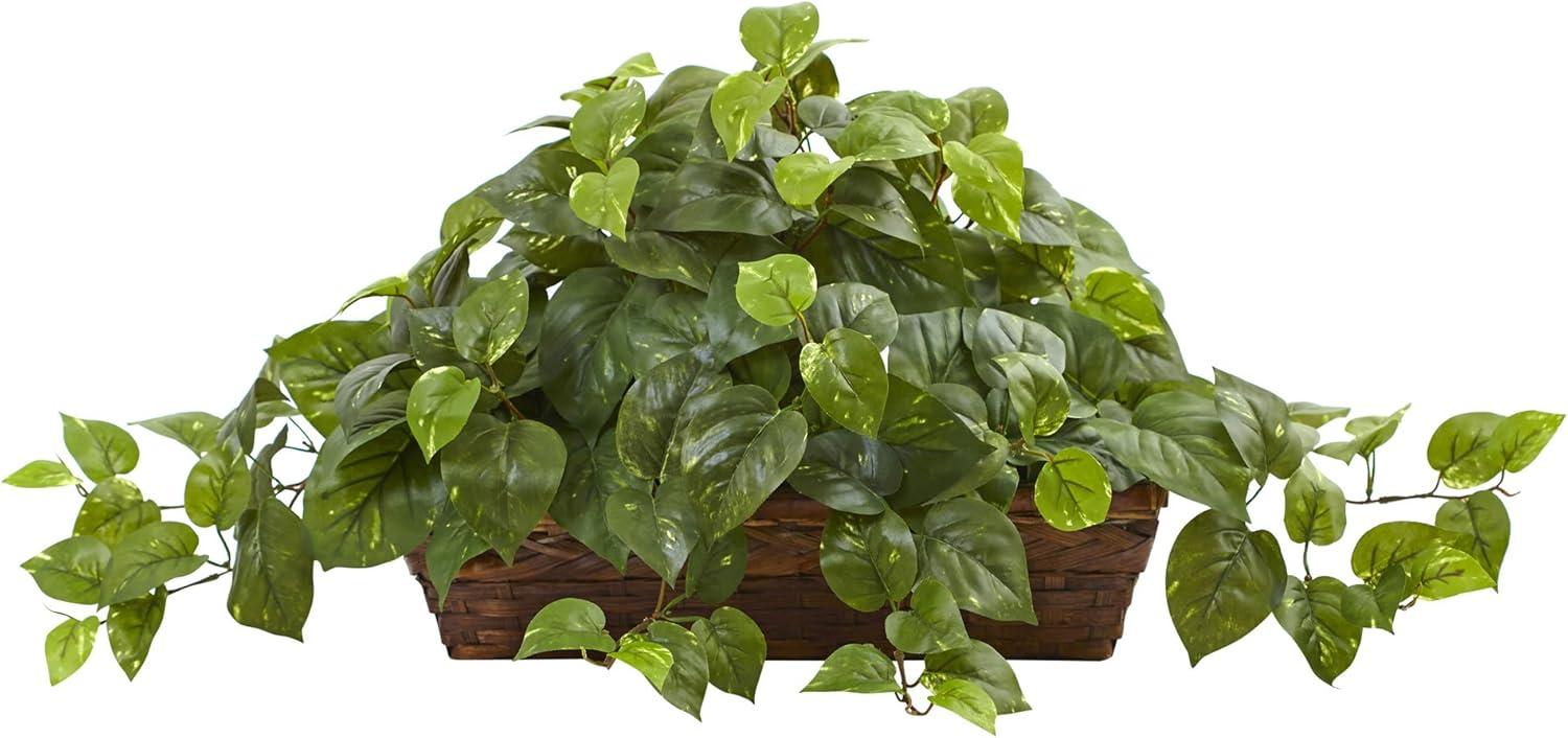 Lush Green Pothos 20.5" Tabletop Arrangement in Brown Basket