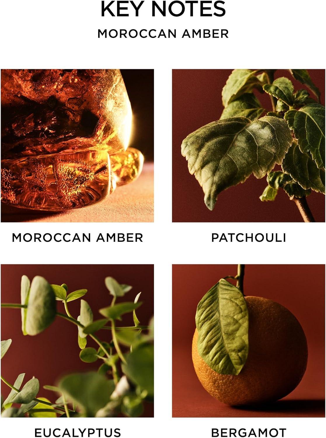 NEST Fragrances Moroccan Amber Reed Diffuser Liquid Refill