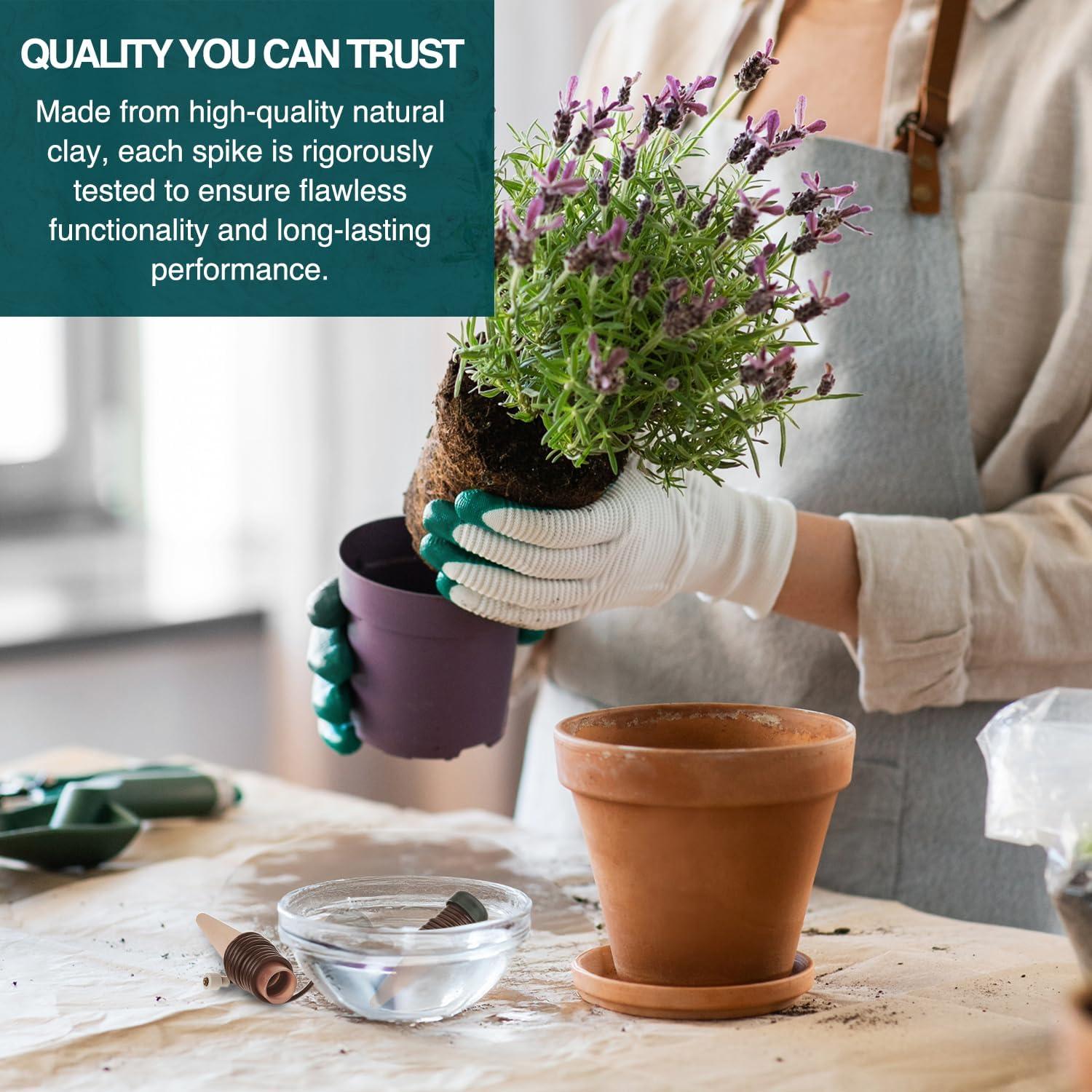 Blumat Classic Plant Watering Stakes | for Everyday Home or Vacation Use | Indoor or Outdoor Water Spikes for Plants | Automatic Drip Irrigation (3 Pack)