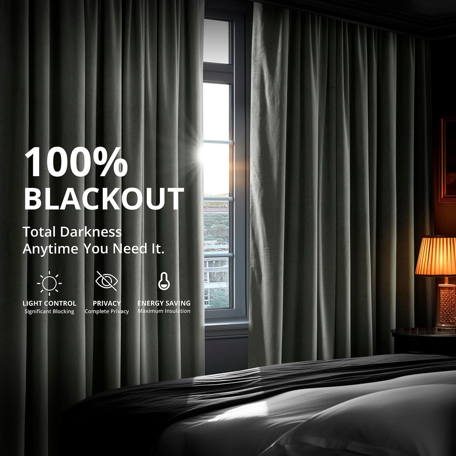 Silver Grey Velvet Pinch Pleat Blackout Curtain - 25 in. W x 96 in. L (1 Panel)