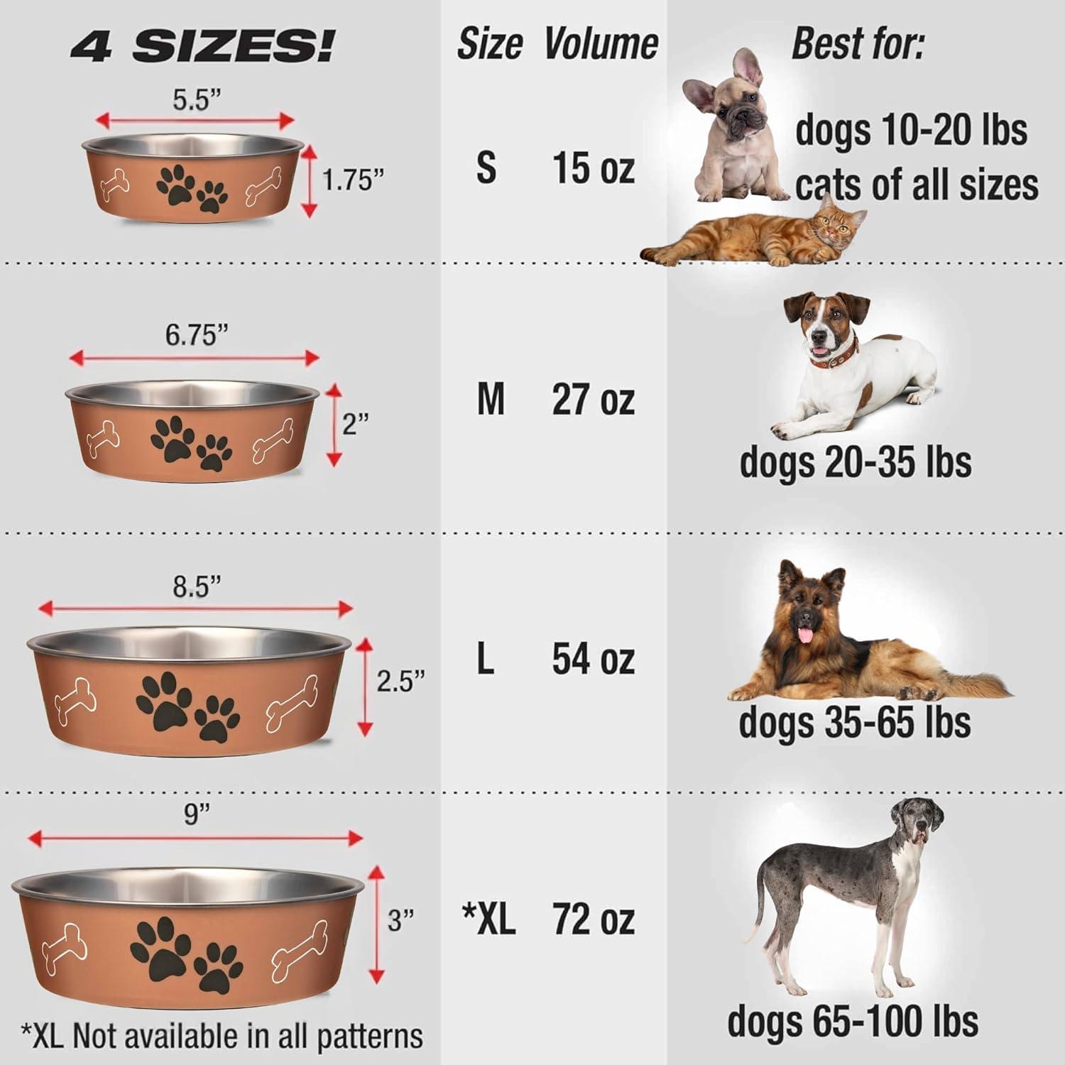 Stainless Steel Dog Dish Fun Print Feeding Bowls Non Slip Rubber Base (Medium - Copper)