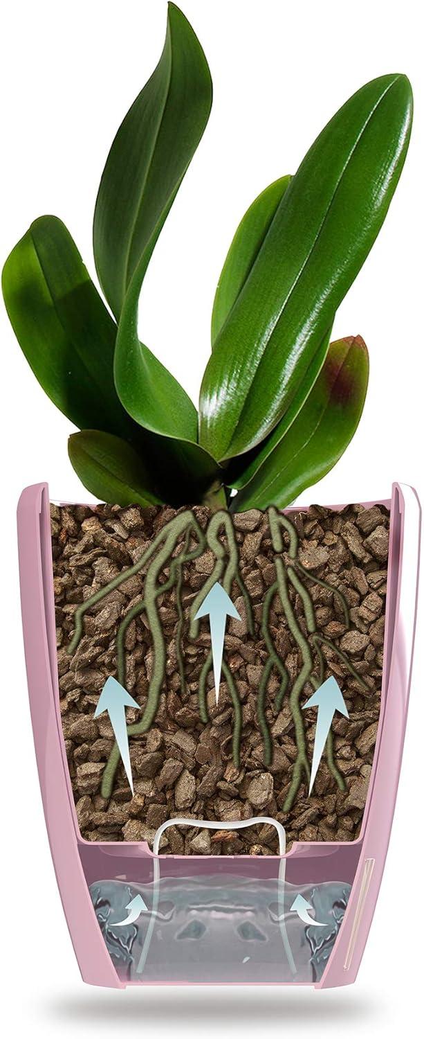 DECOPOTS - Self Watering Orchids Pot - Plant Pots Ideal for Orchid Flower - Drainage and Water Level Indicator - Planter Pot with Self-Watering Feature(5.5 ".9", Blue)